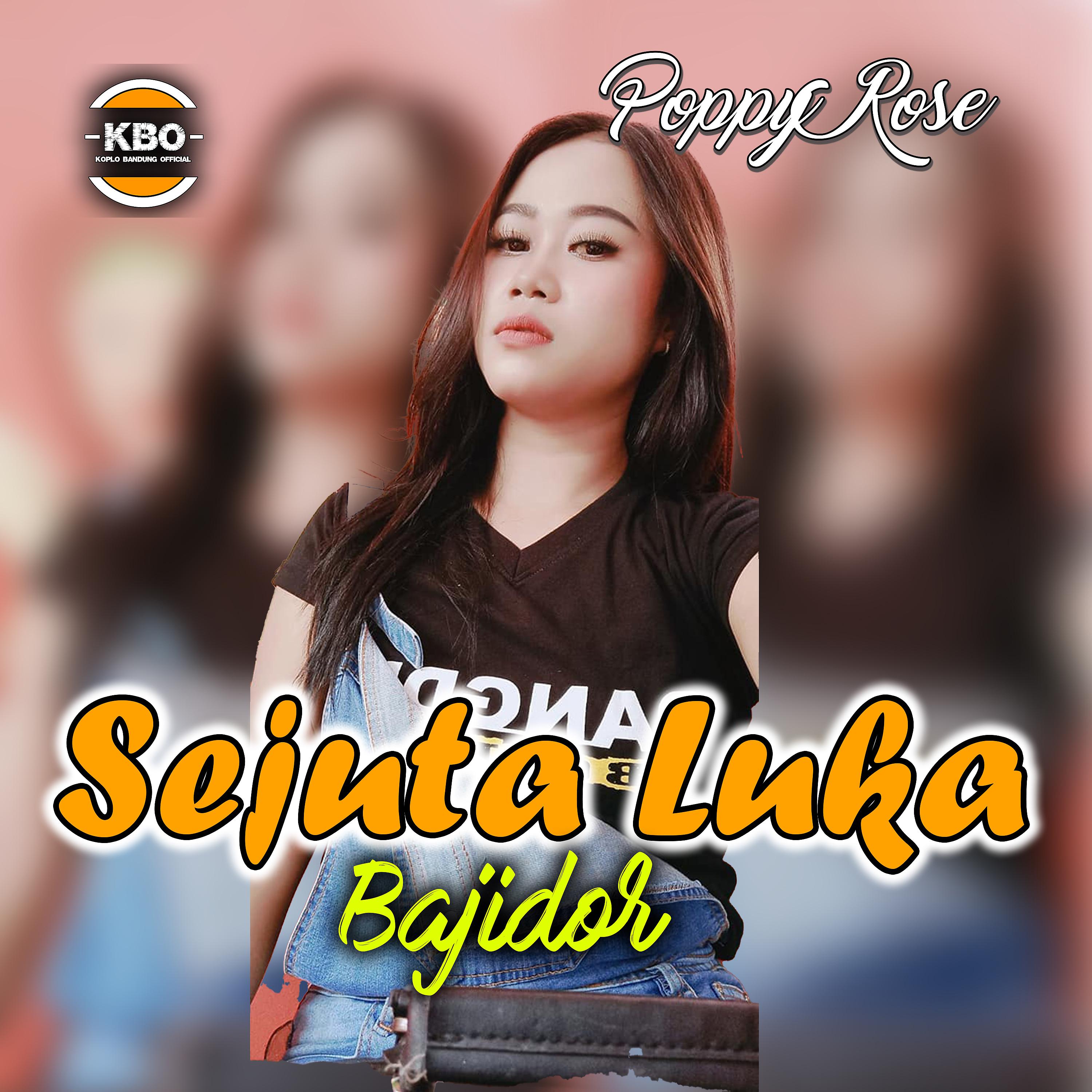 Постер альбома Sejuta Luka Bajidor