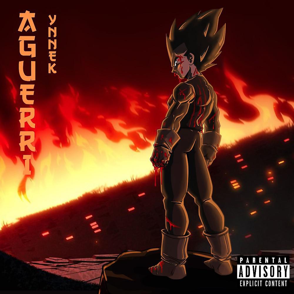 Постер альбома Aguerri