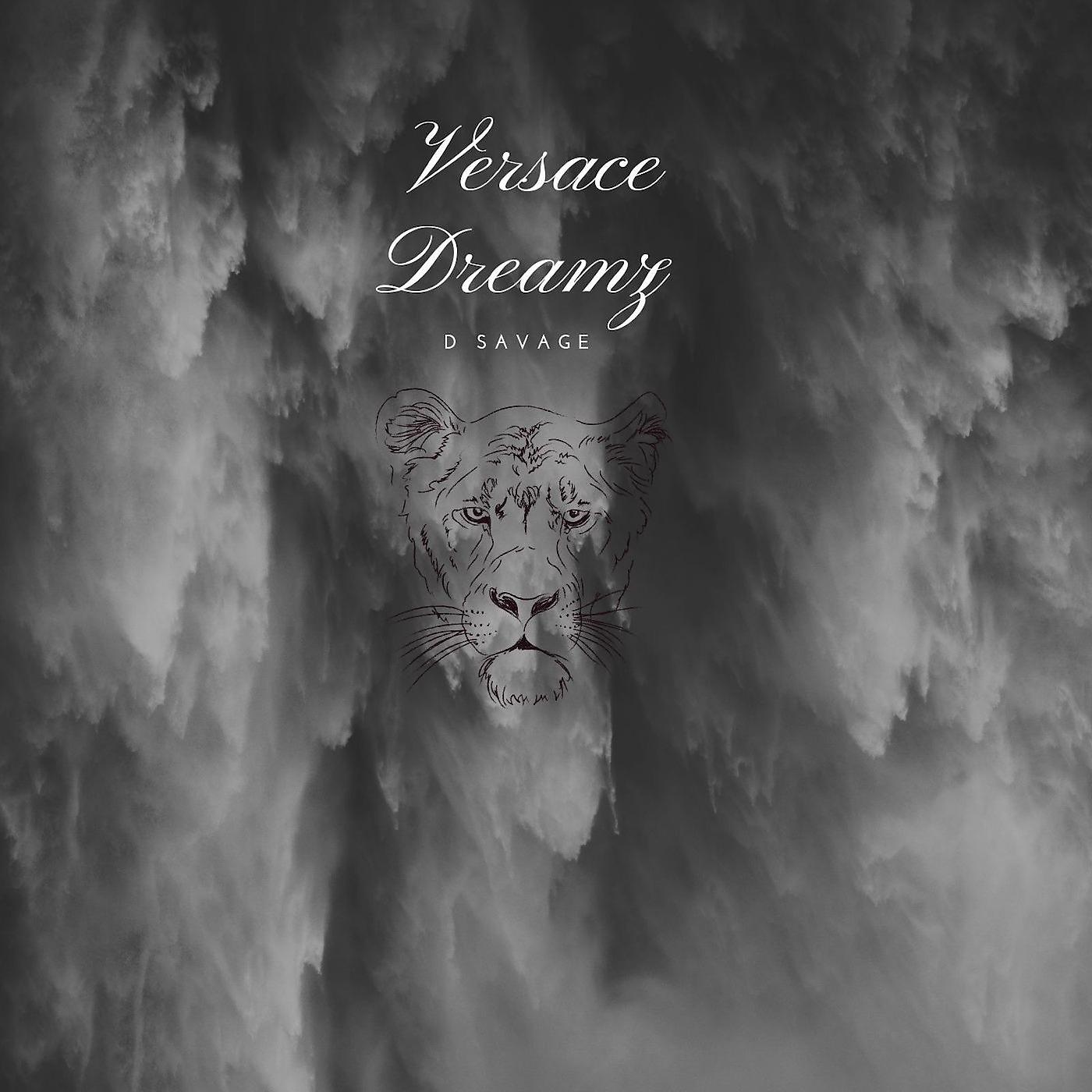 Постер альбома Versace Dreamz