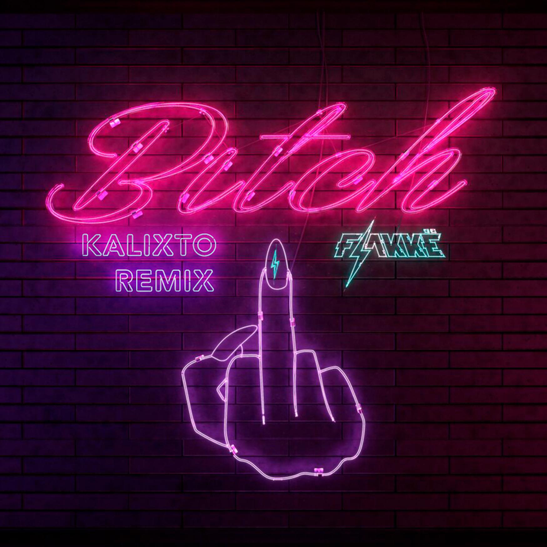 Постер альбома Bitch
