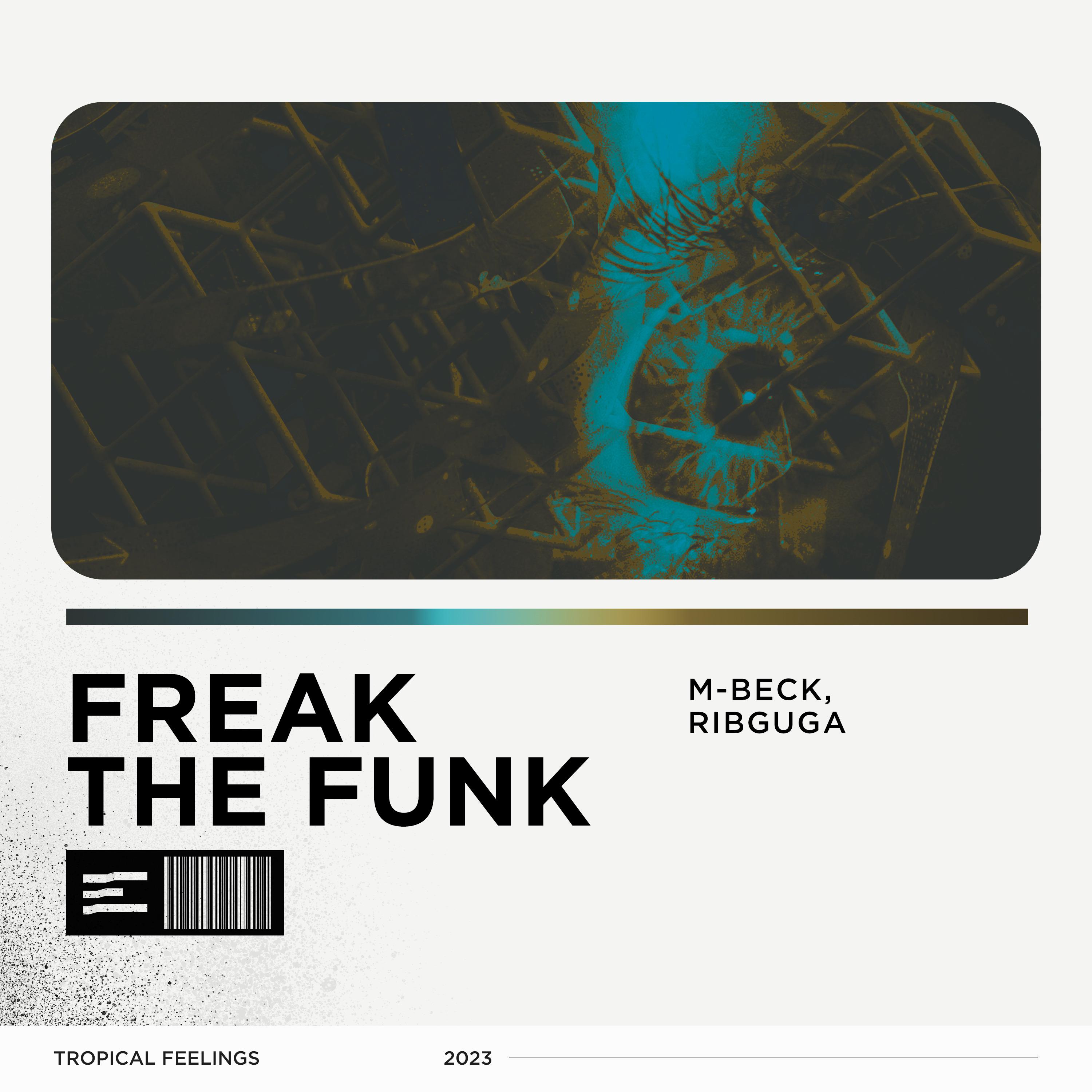 Постер альбома Freak the Funk