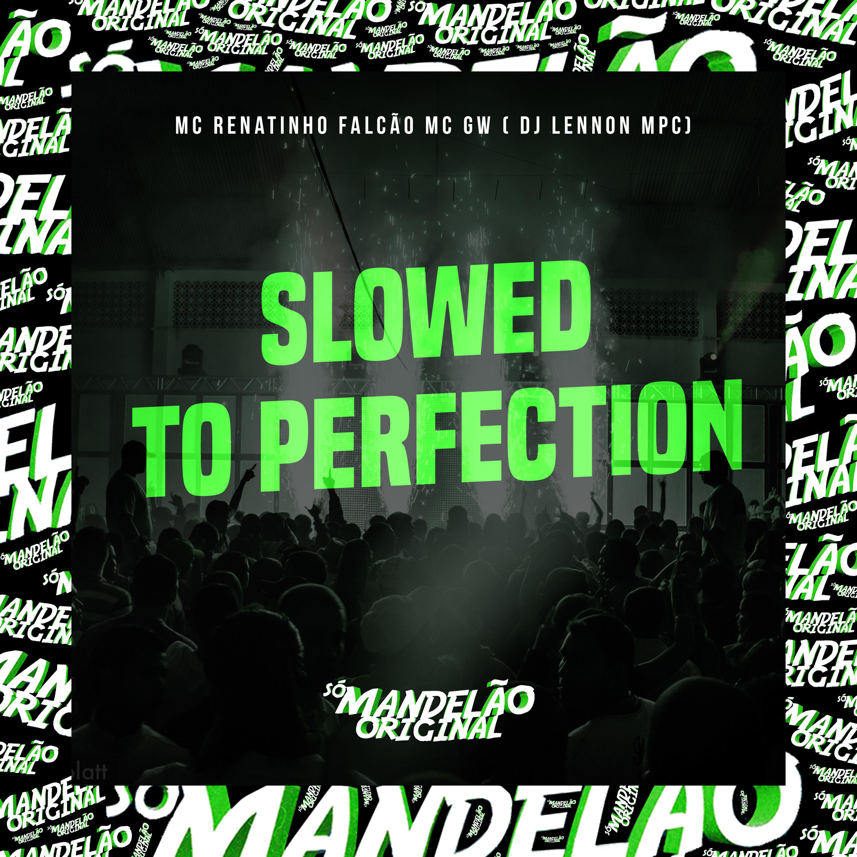 Постер альбома Slowed To Perfectiion