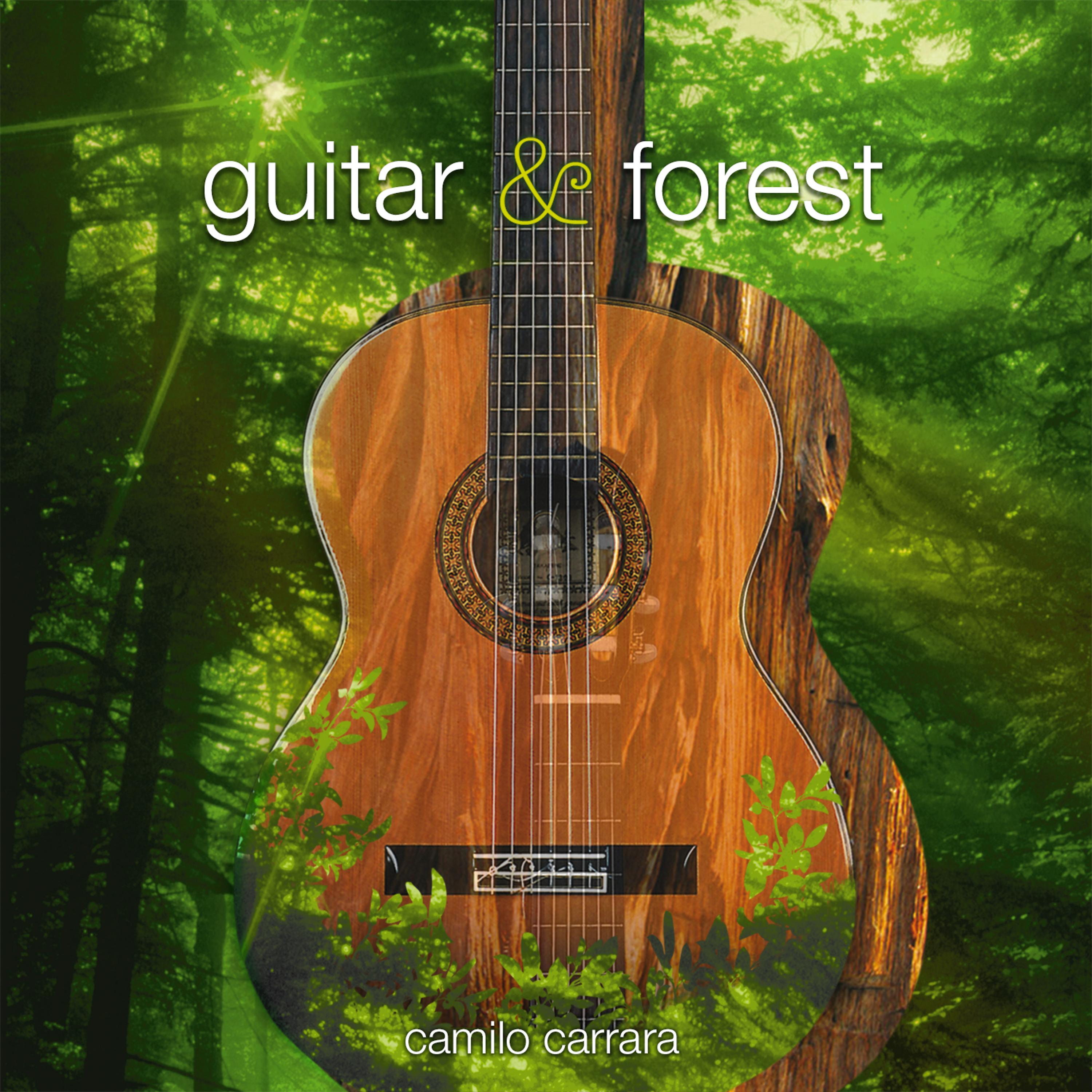 Постер альбома Guitar & Forest
