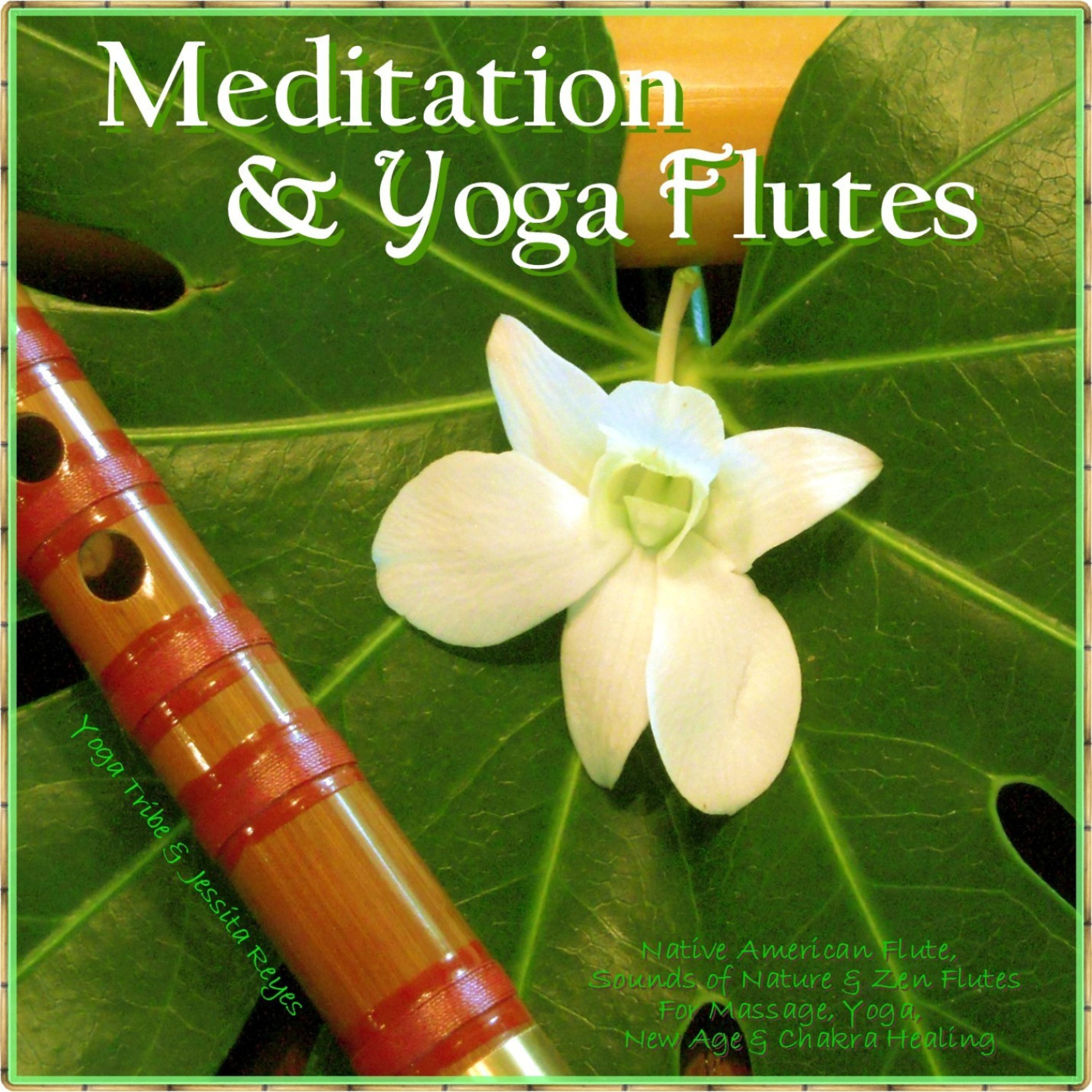 Постер альбома Meditation & Yoga - Flutes (Native American Flute & Sounds of Nature for Yoga, Massage, New Age Spa, Zen & Chakra Healing)