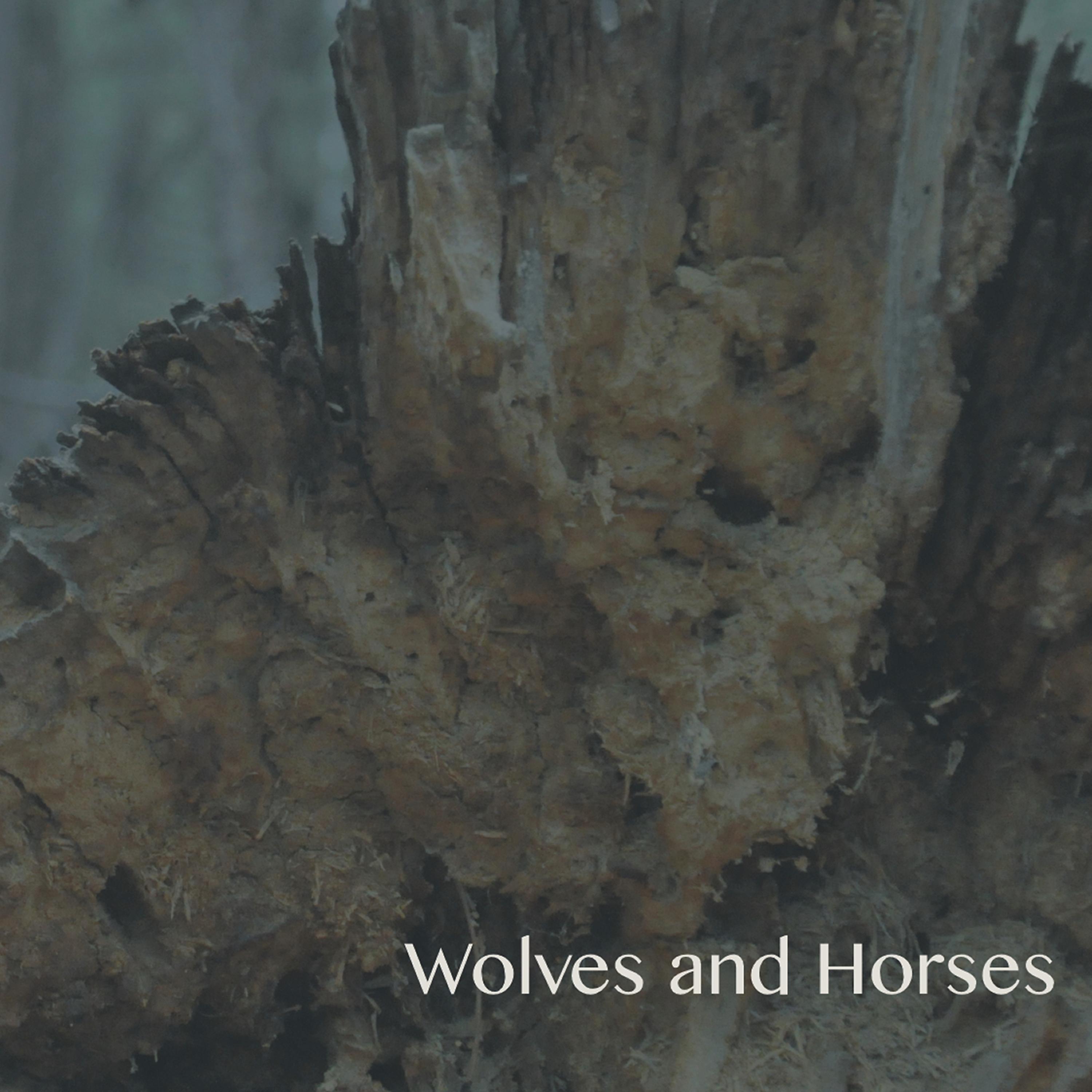 Постер альбома Wolves and Horses
