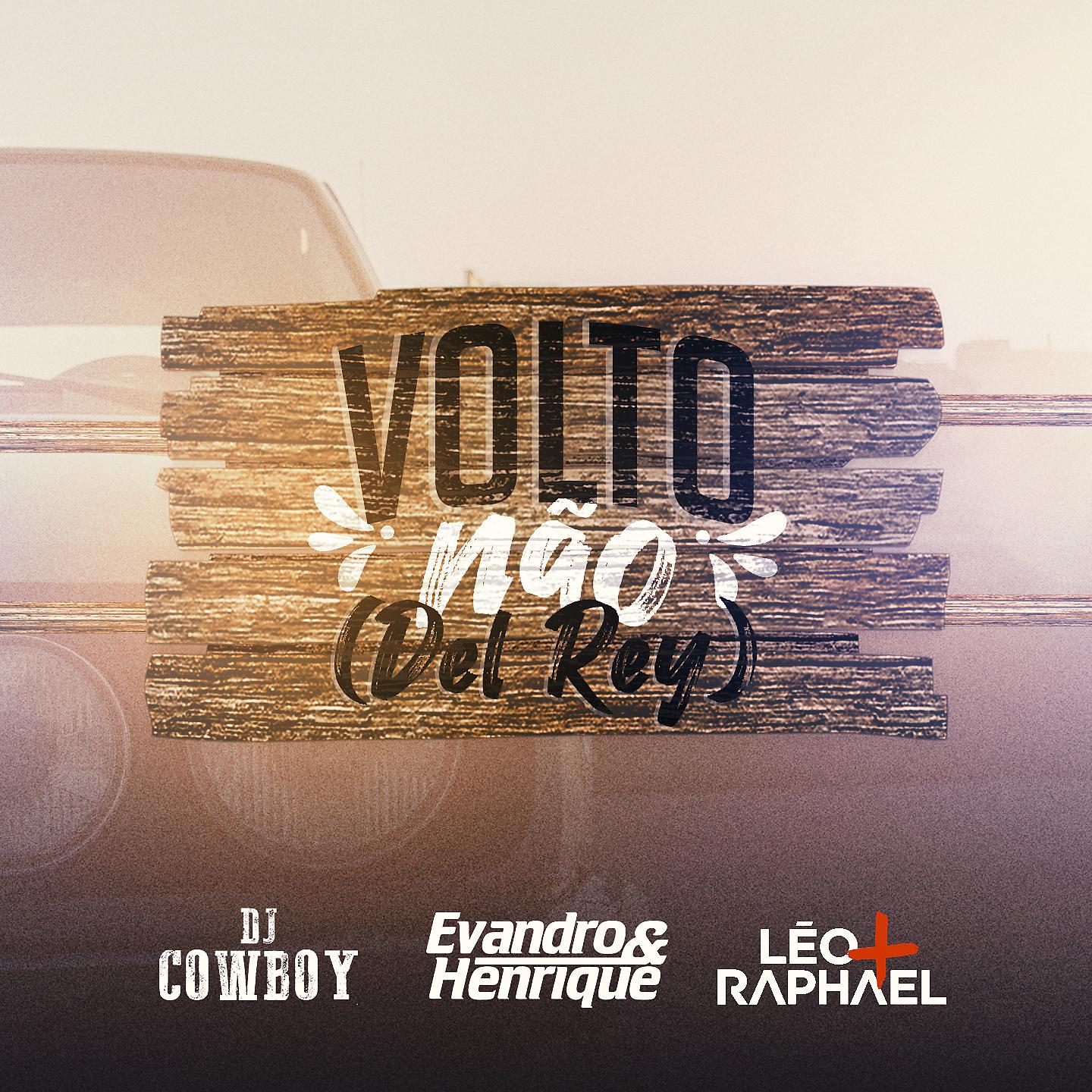 Постер альбома Volto Não (feat. Léo & Raphael) [Del Rey Remix]