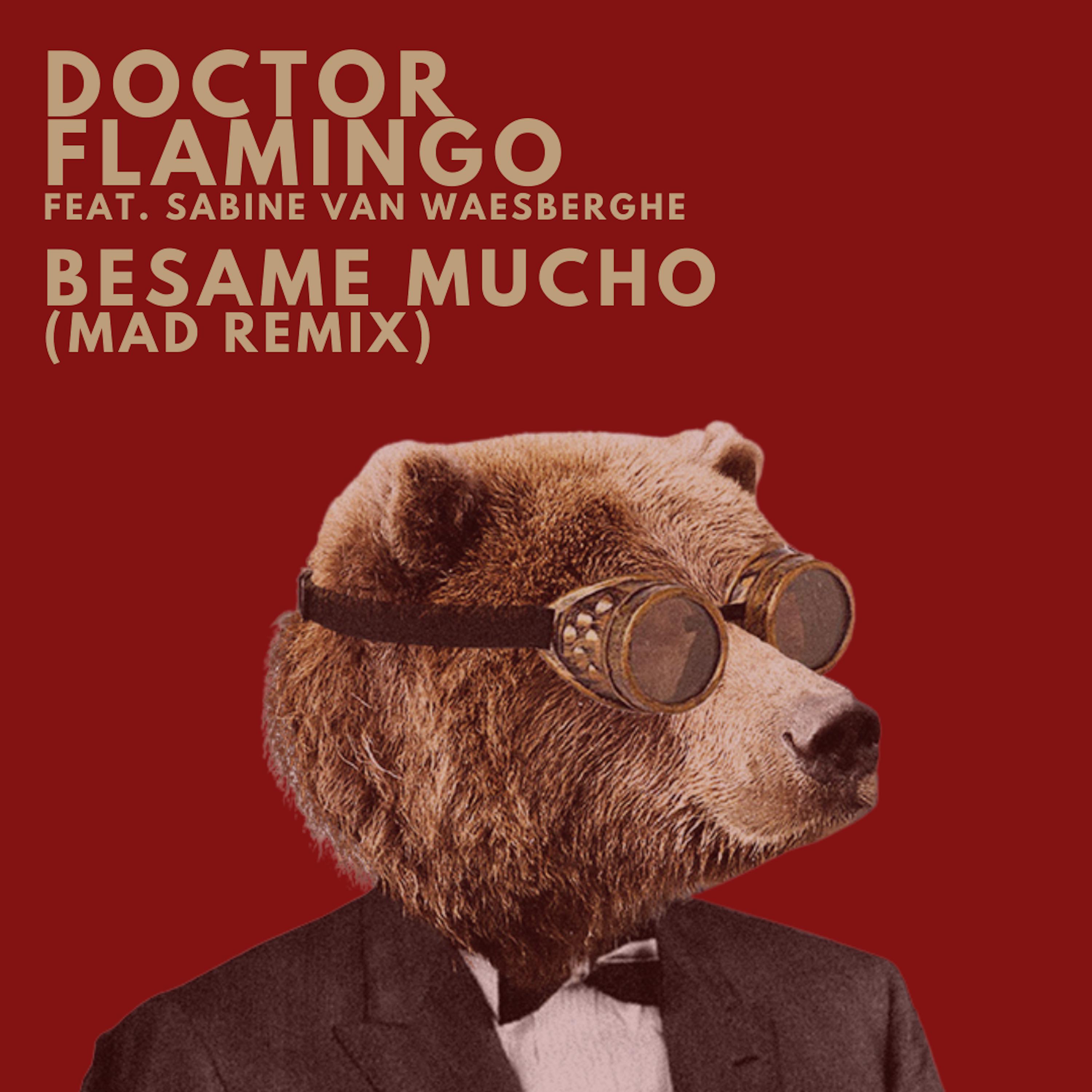 Постер альбома Bésame Mucho (Mad Remix)