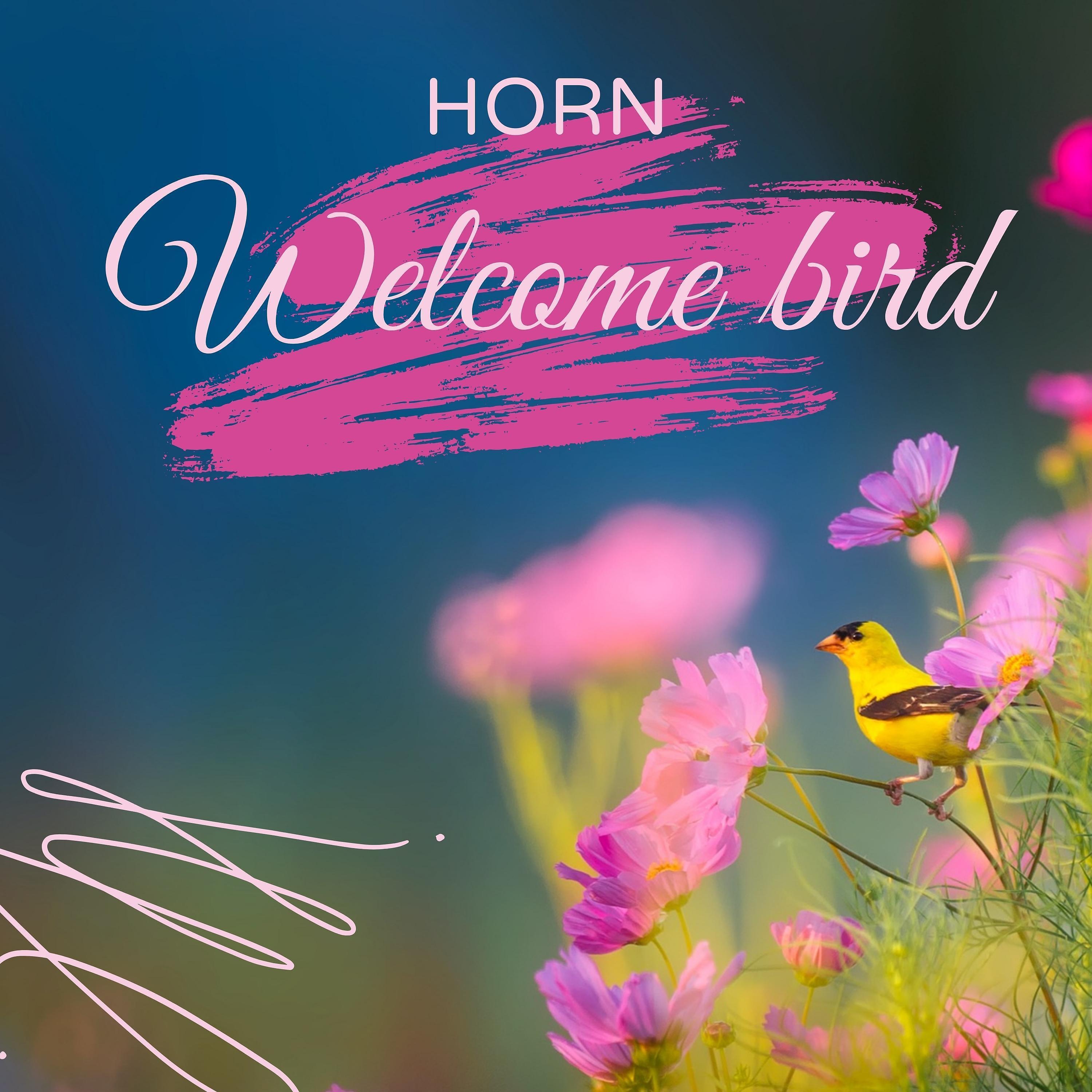 Постер альбома Welcome Bird