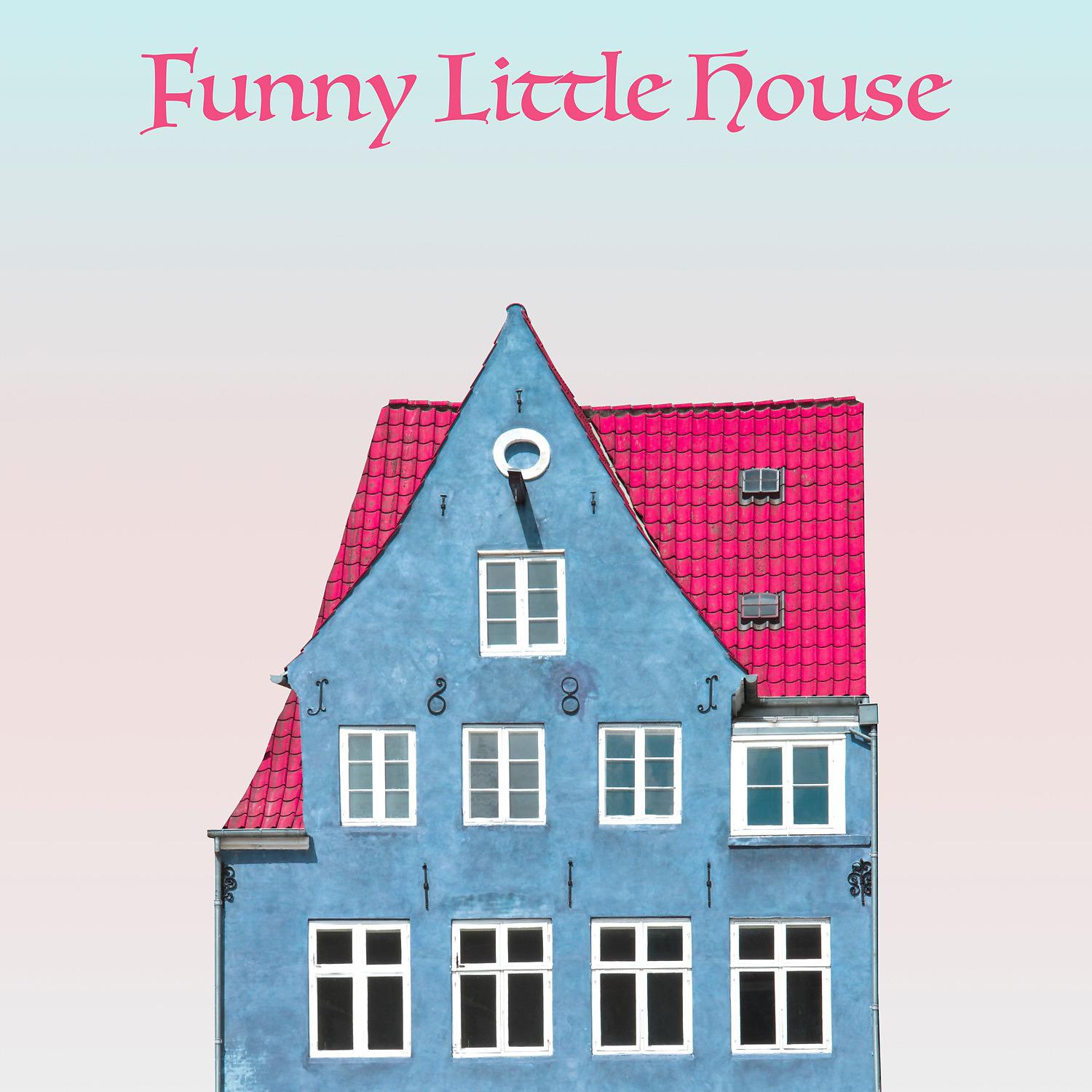 Постер альбома Funny Little House