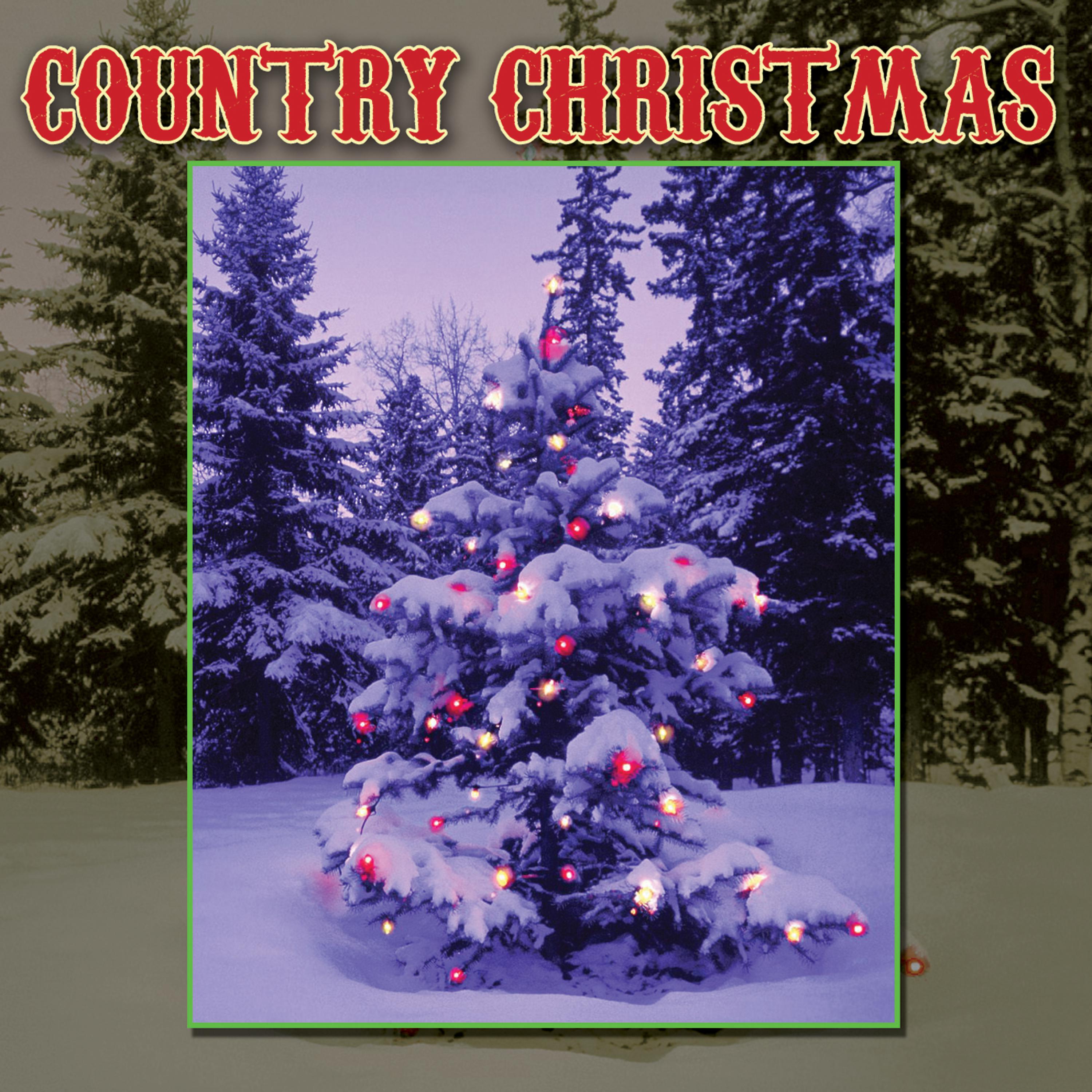Постер альбома Country Christmas