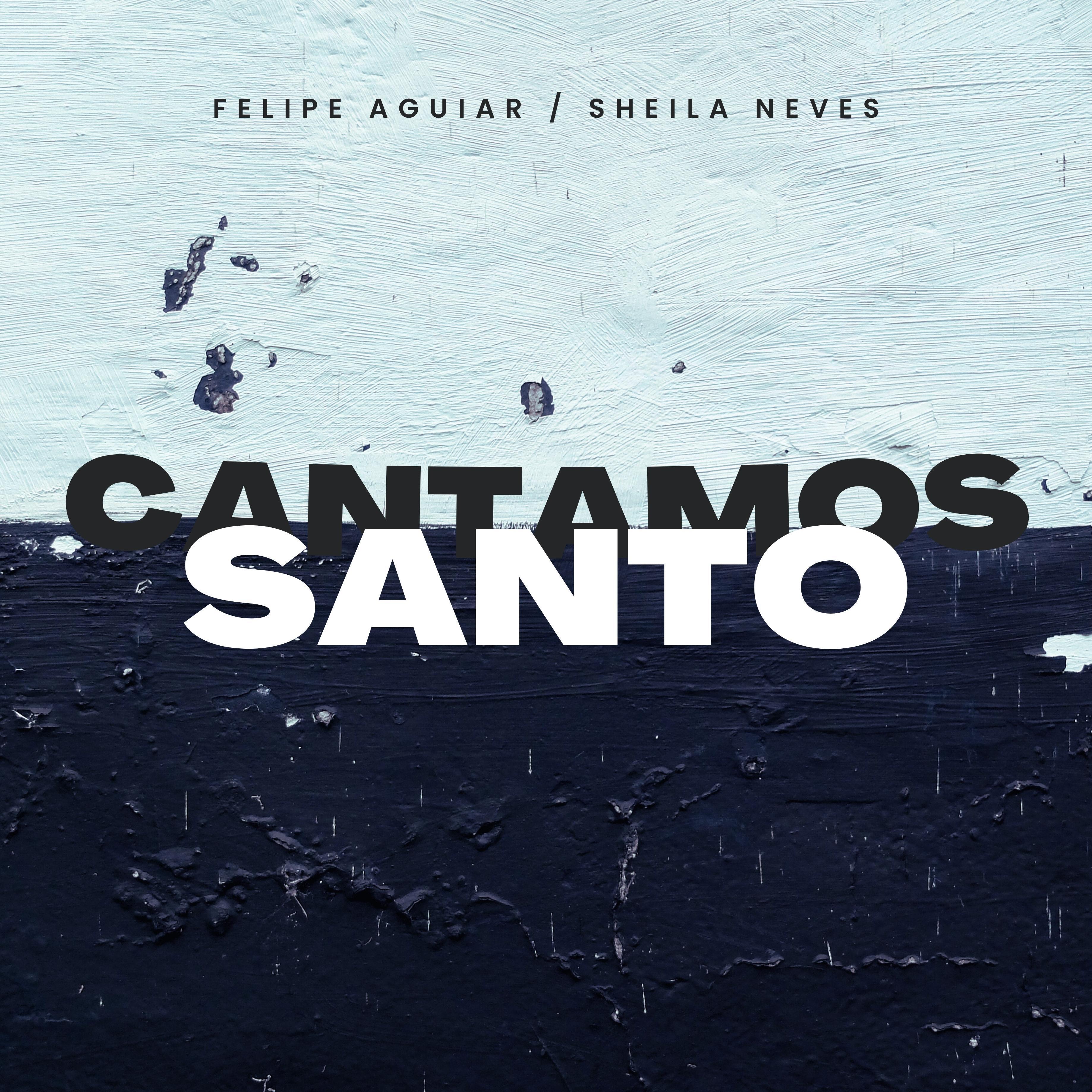 Постер альбома Cantamos Santo