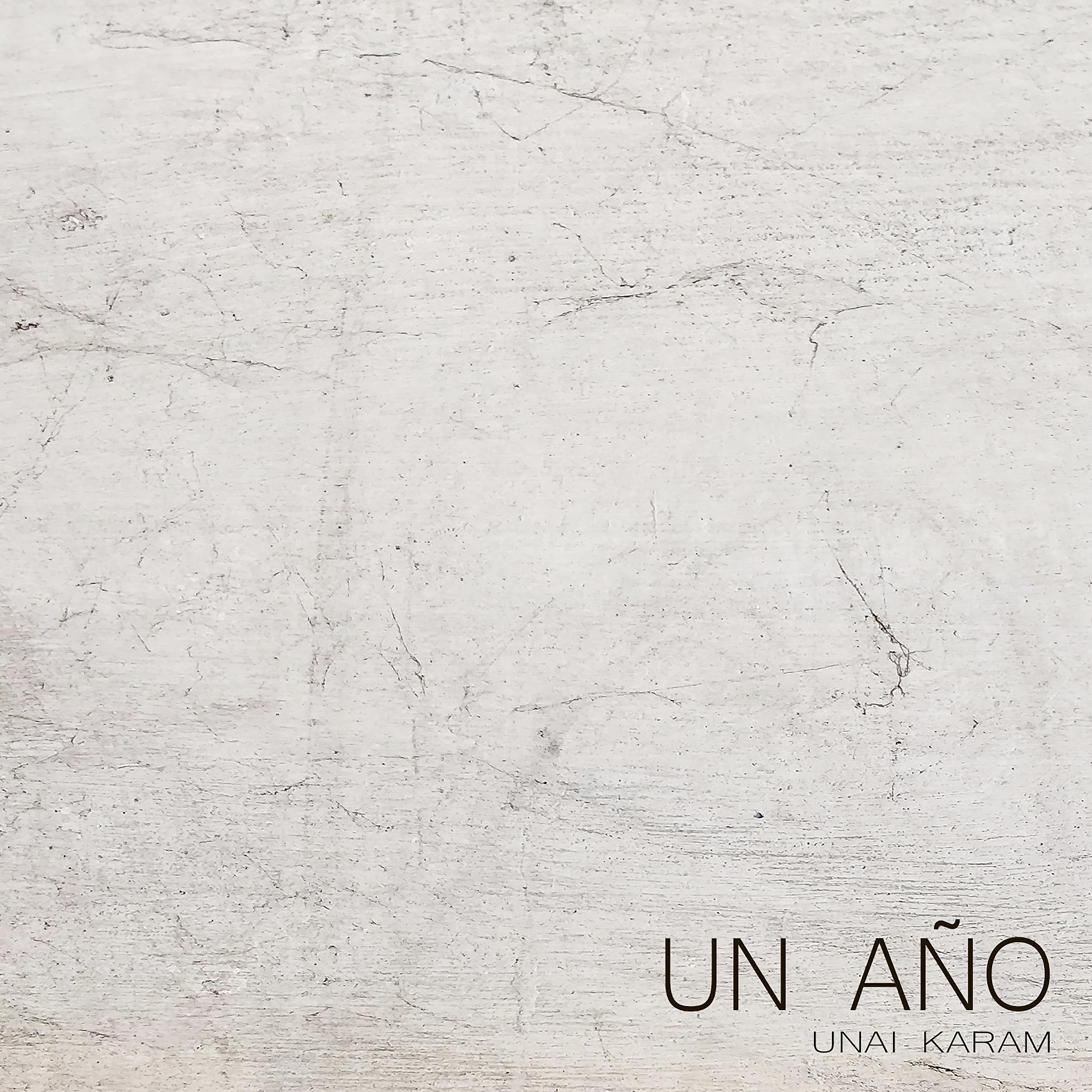 Постер альбома Un Año (Piano Cover)