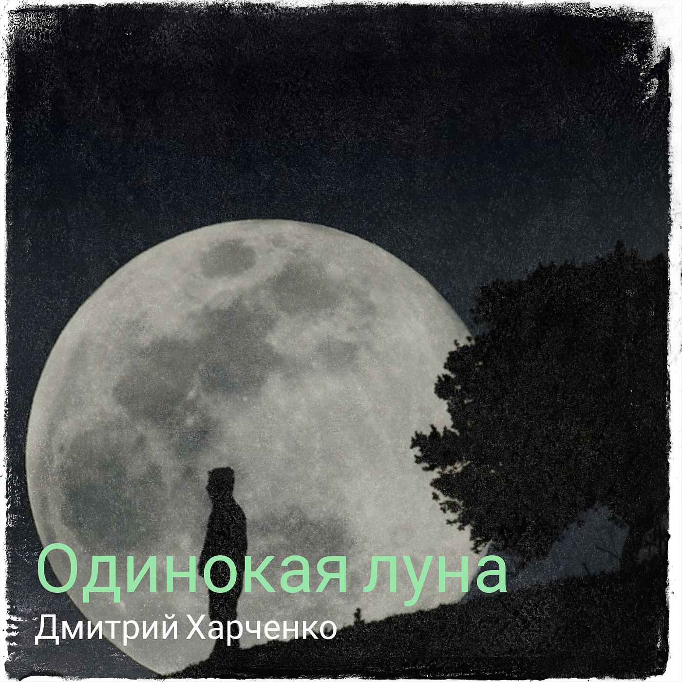Постер альбома Одинокая луна