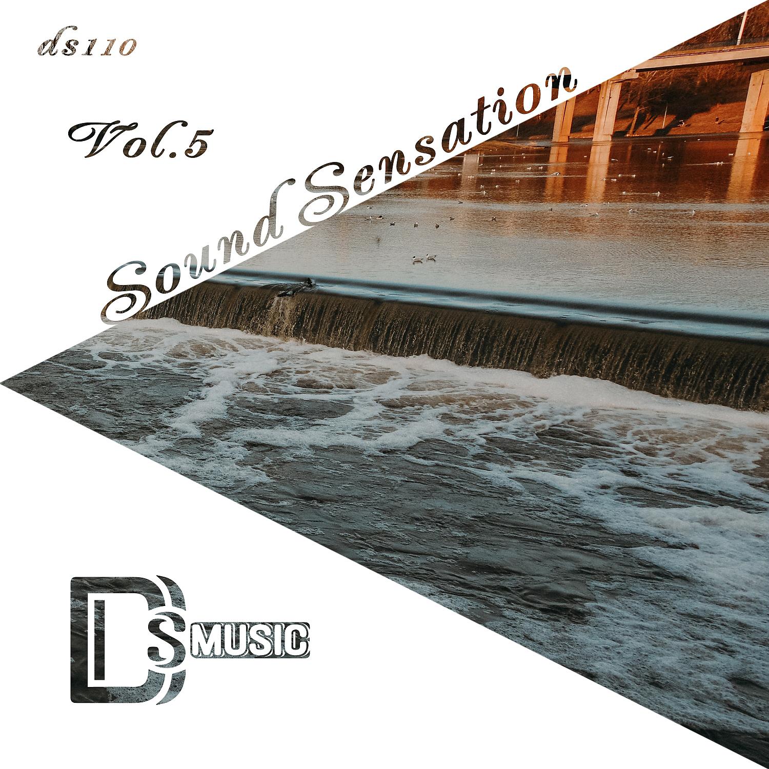 Постер альбома Sound Sensation, Vol. 5