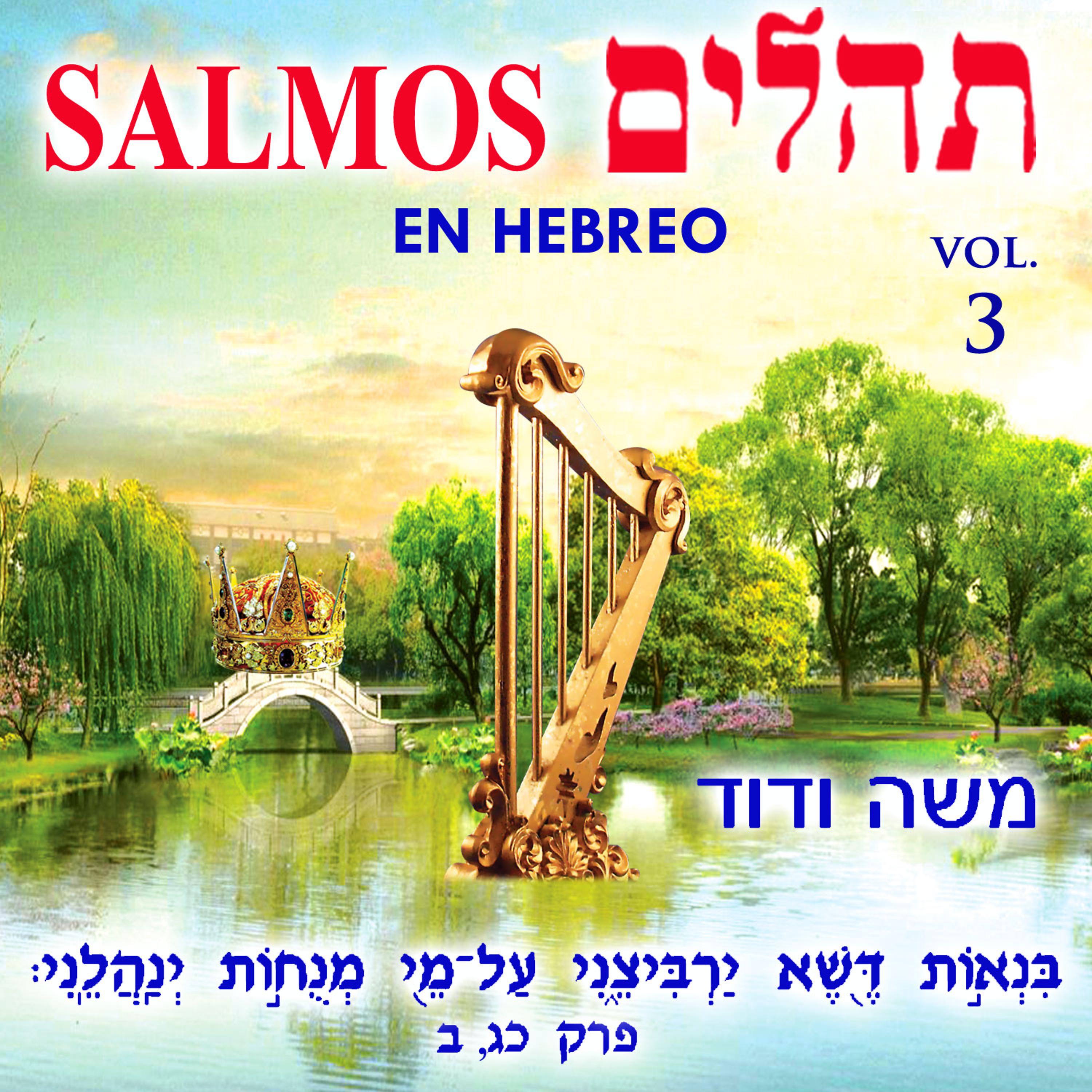 Постер альбома Tehilim Salmos en Hebreo, Vol. 3