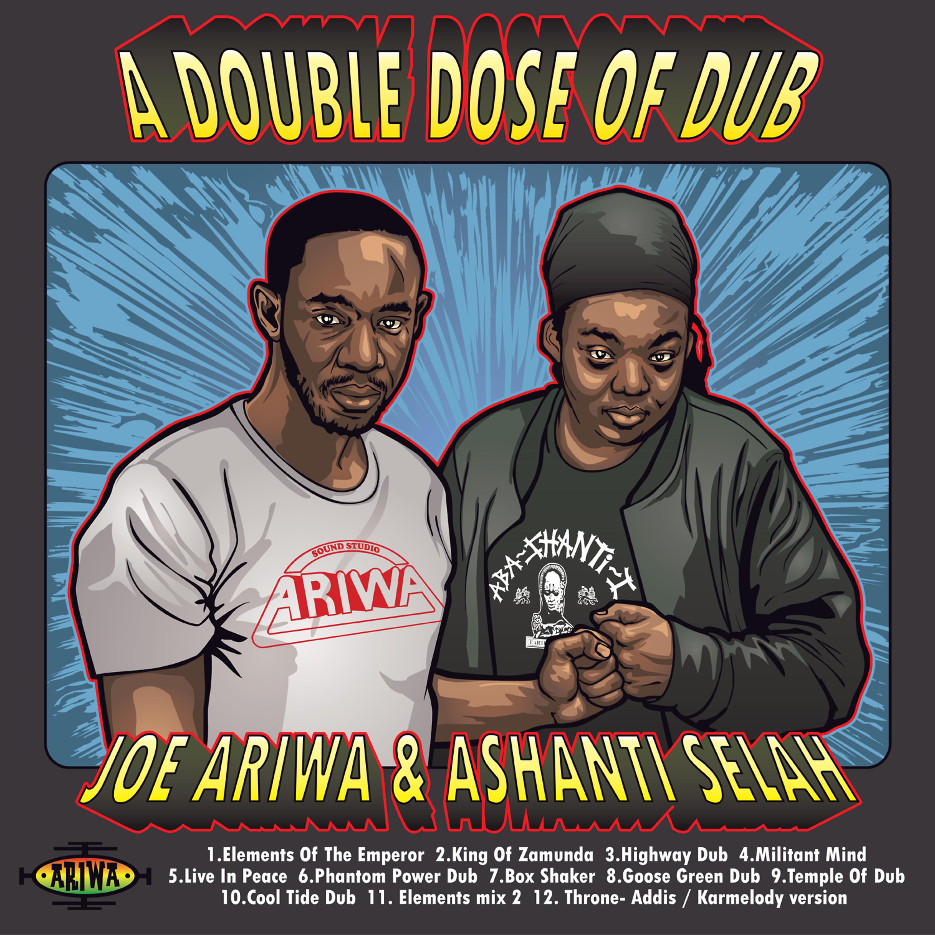 Постер альбома A Double Dose of Dub