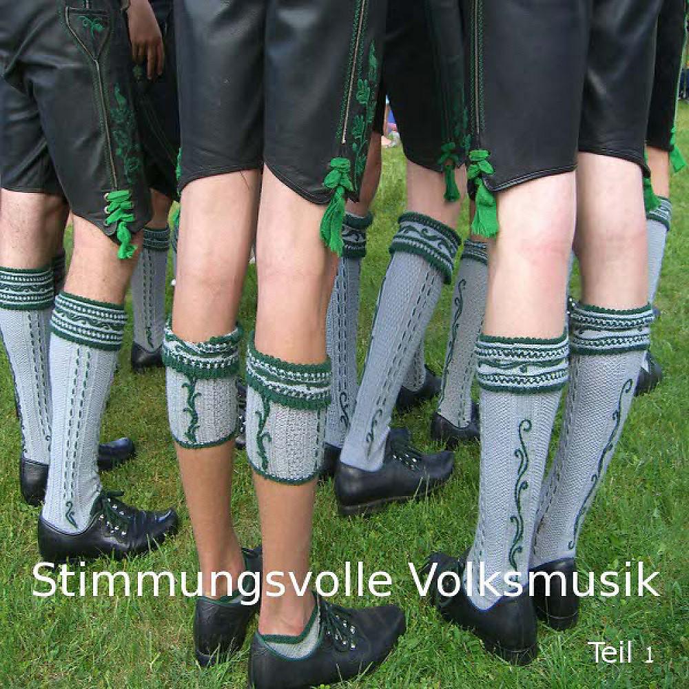 Постер альбома Stimmungsvolle Volksmusik - Teil 1