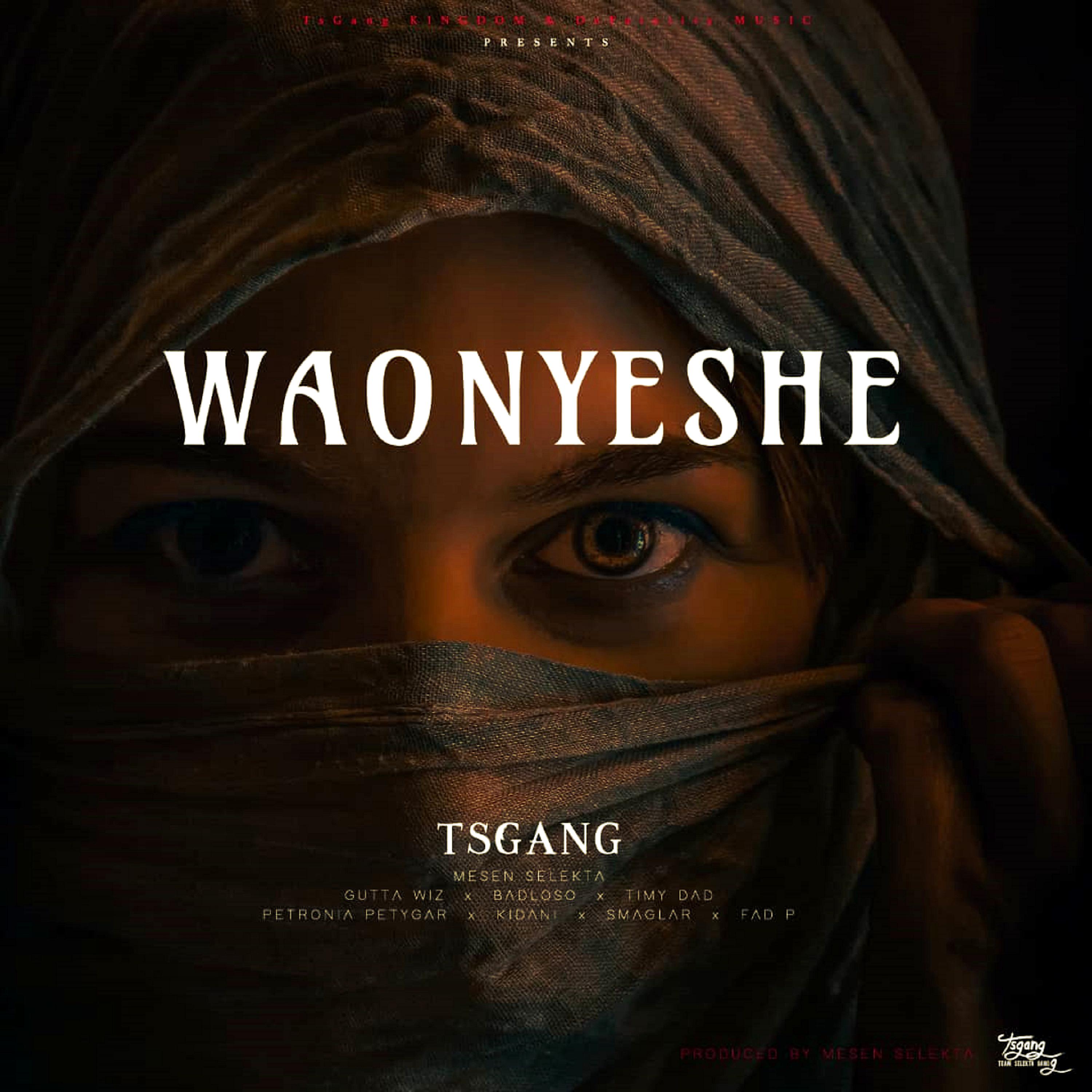 Постер альбома Waonyeshe