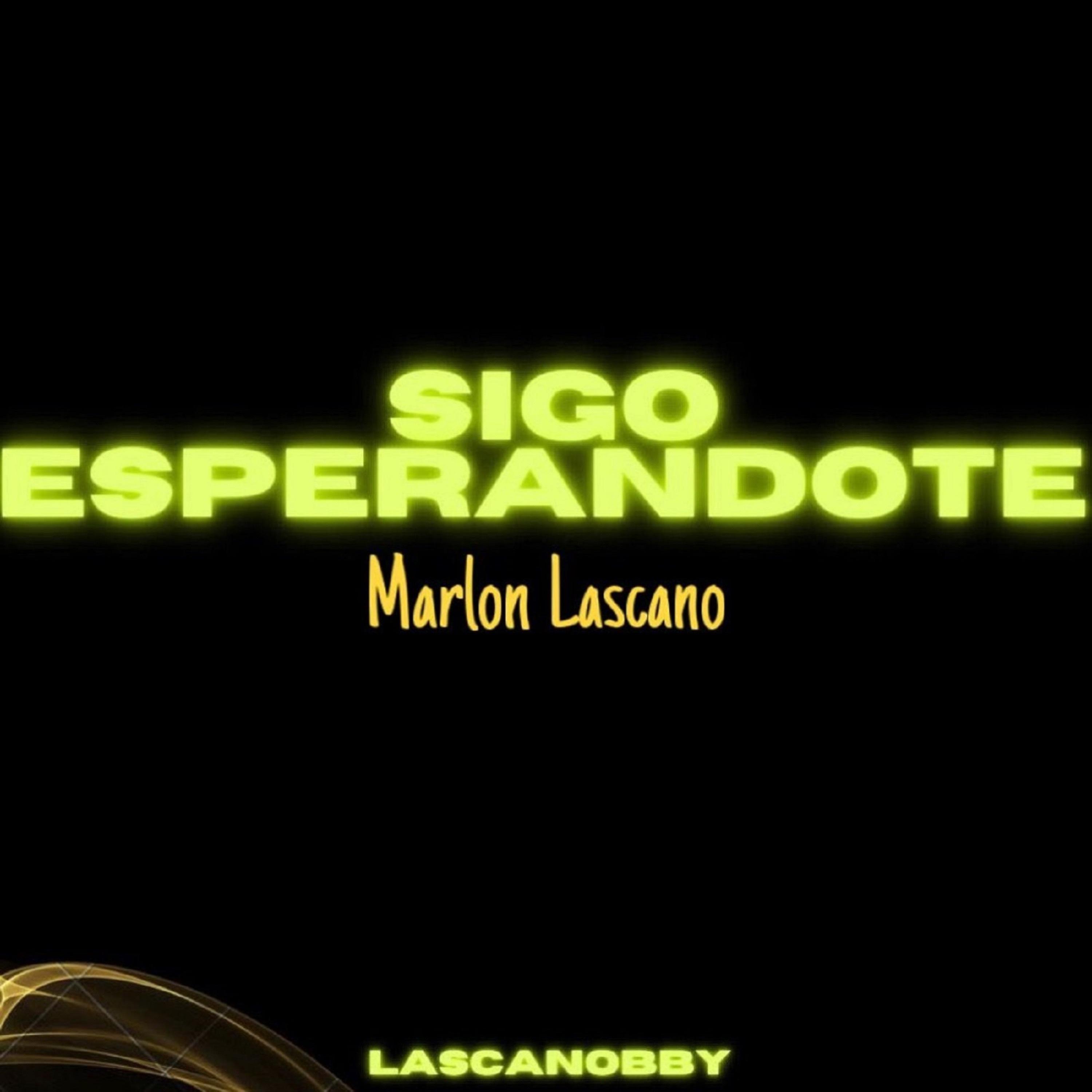 Постер альбома Sigo Esperandote