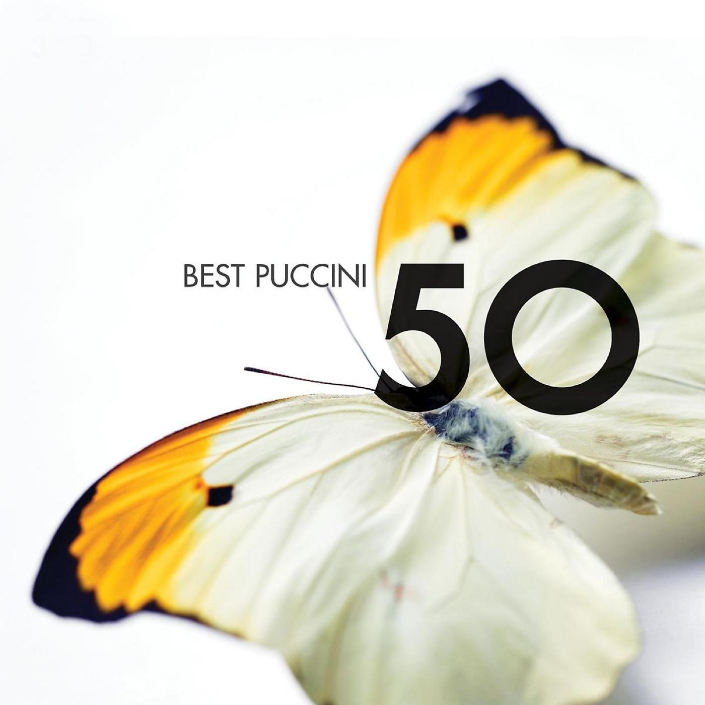 Постер альбома 50 Best Puccini