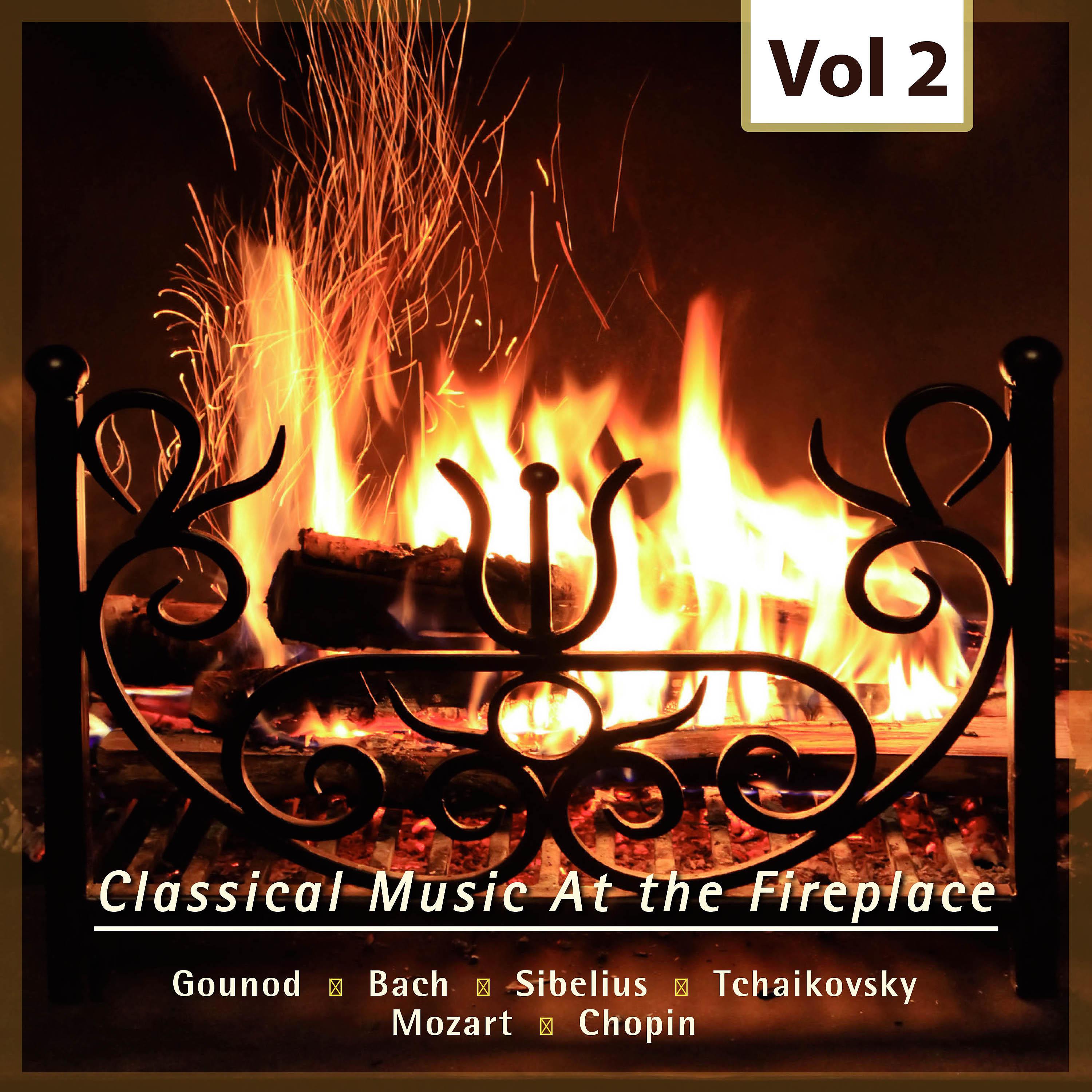 Постер альбома Classical Music at the Fireplace, Vol. 2