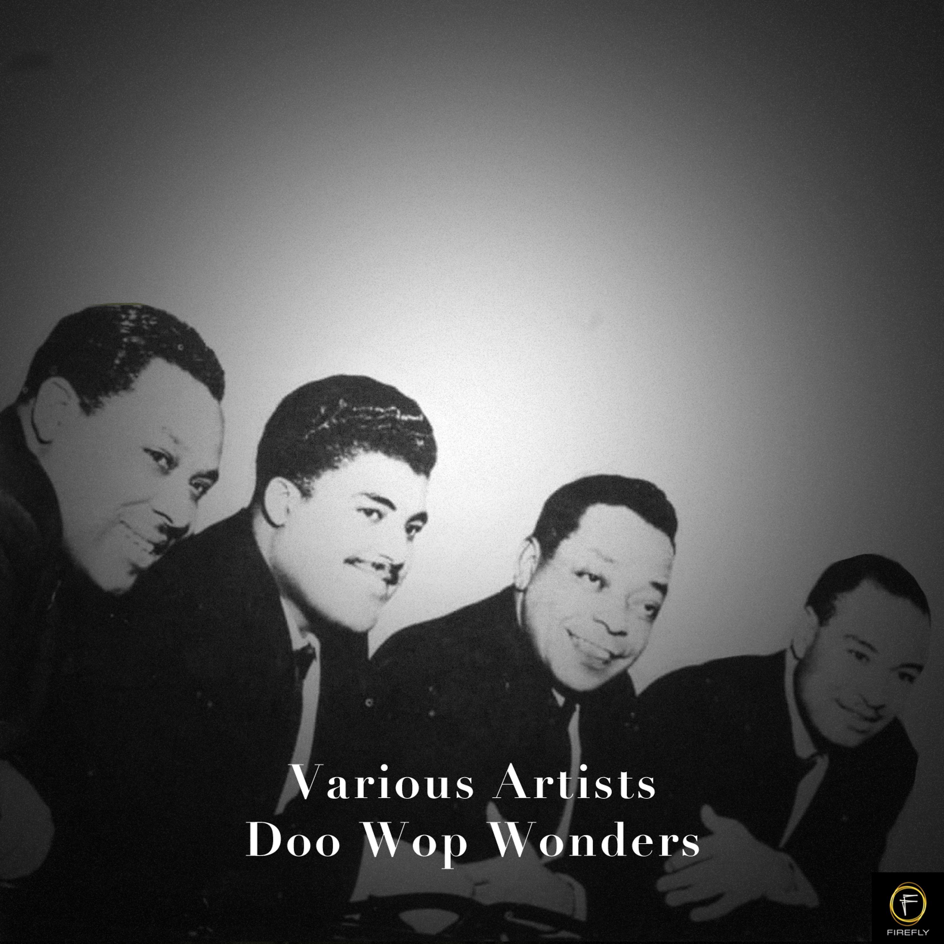 Постер альбома Doo Wop Wonders