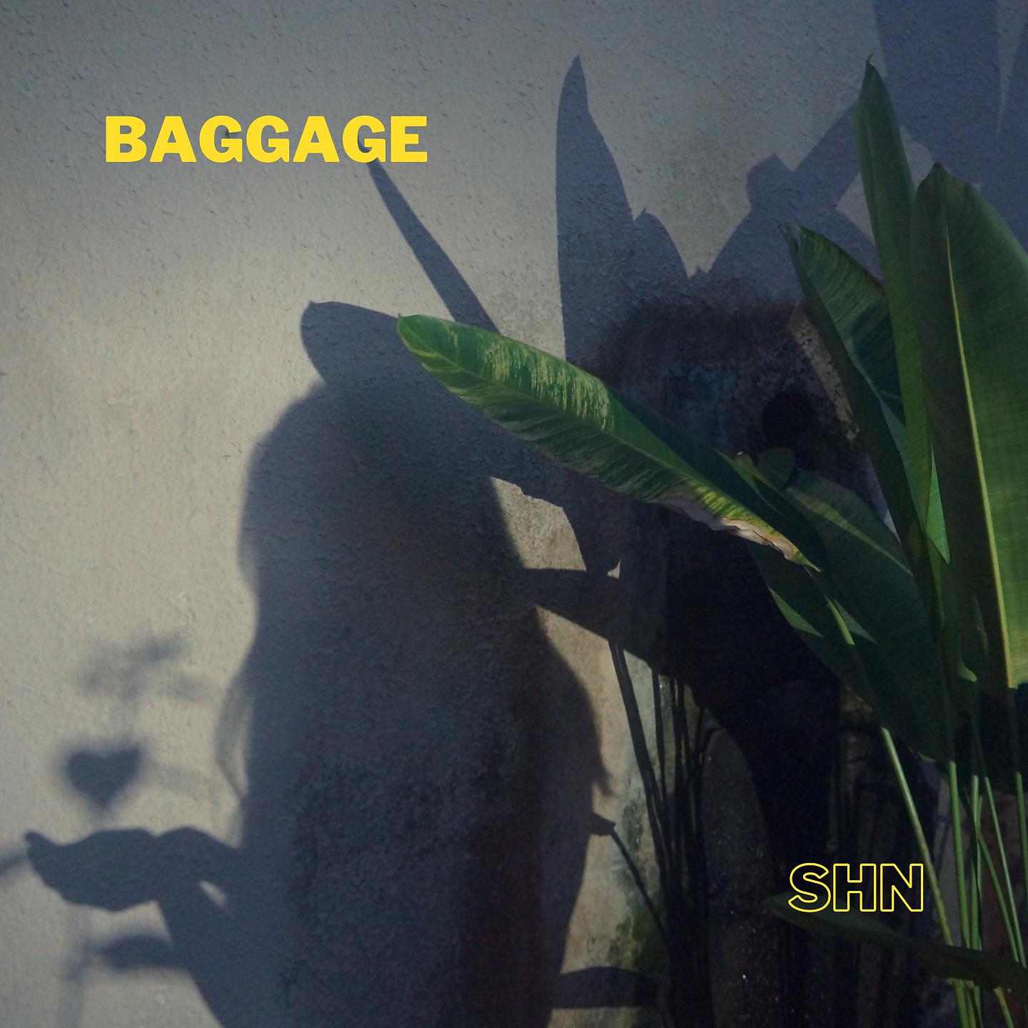Постер альбома baggage