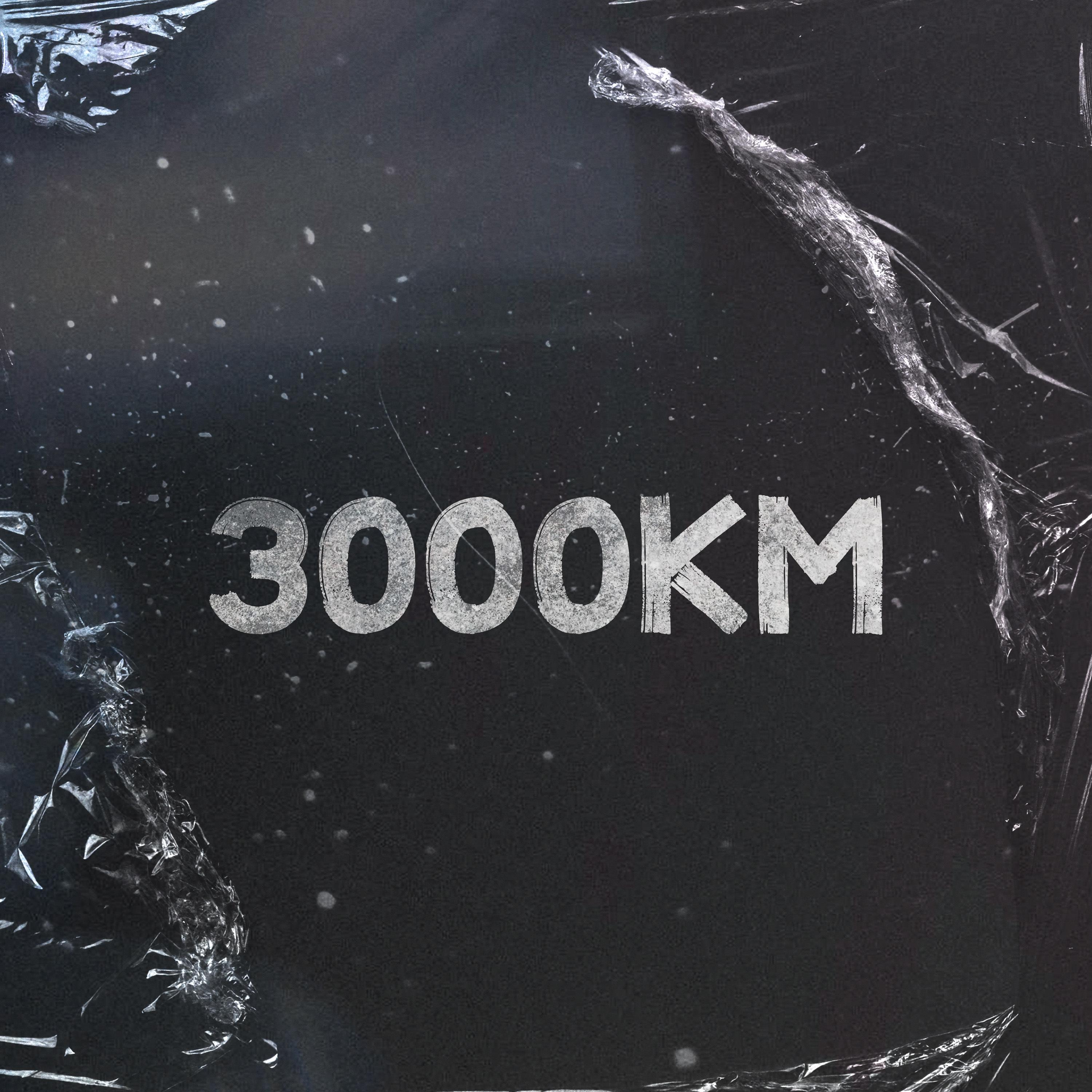 Постер альбома 3000 км