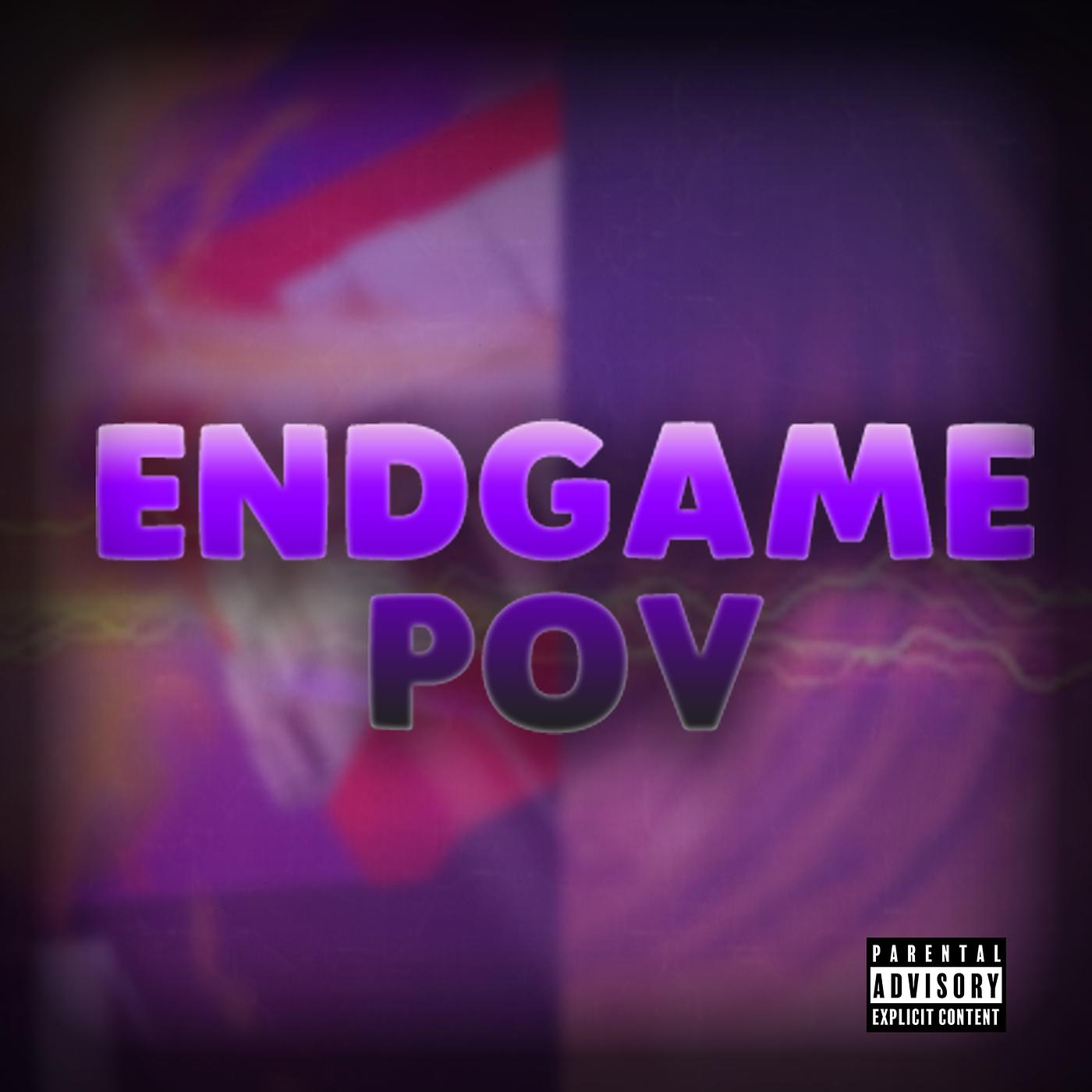 Постер альбома Endgame Pov