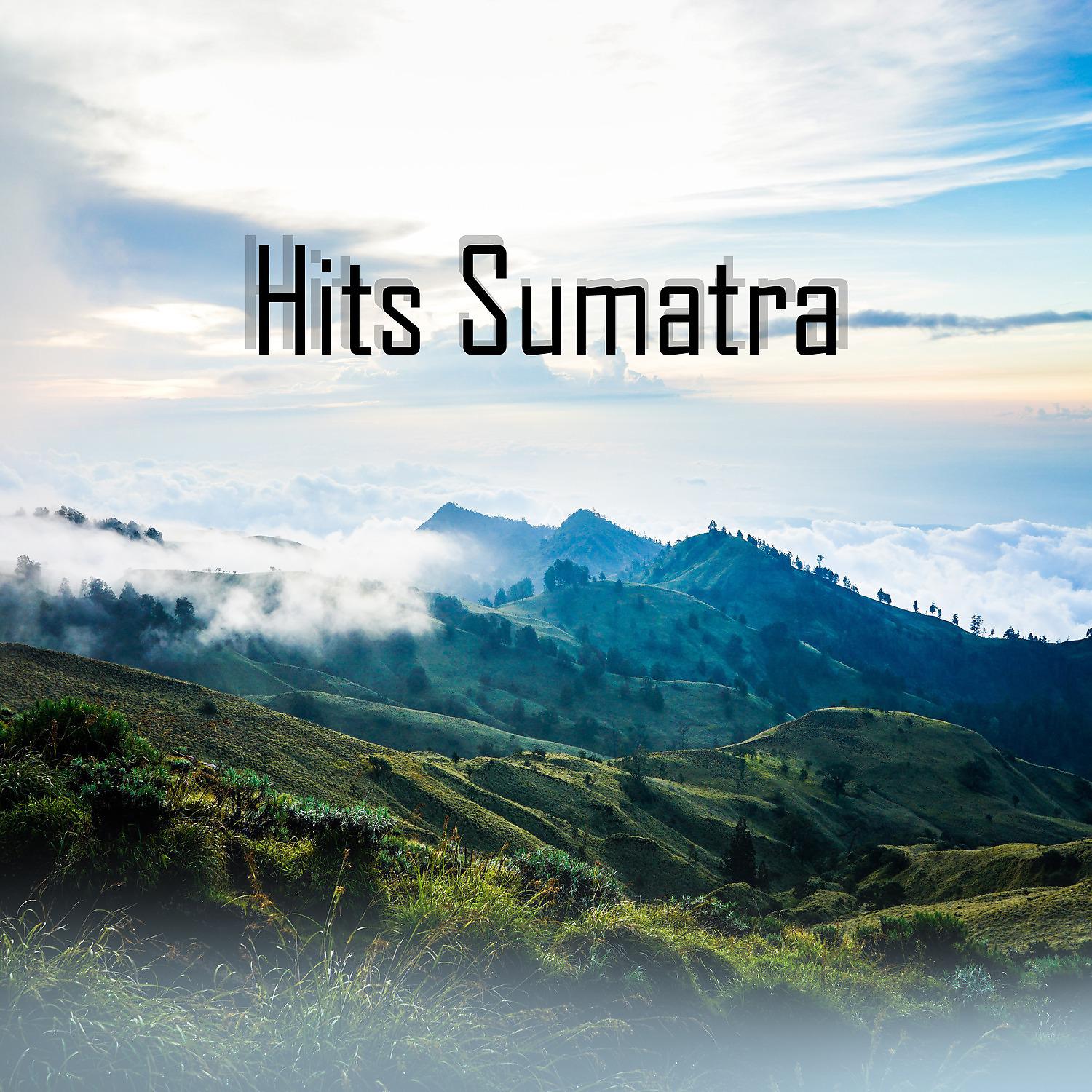 Постер альбома Hits Sumatra