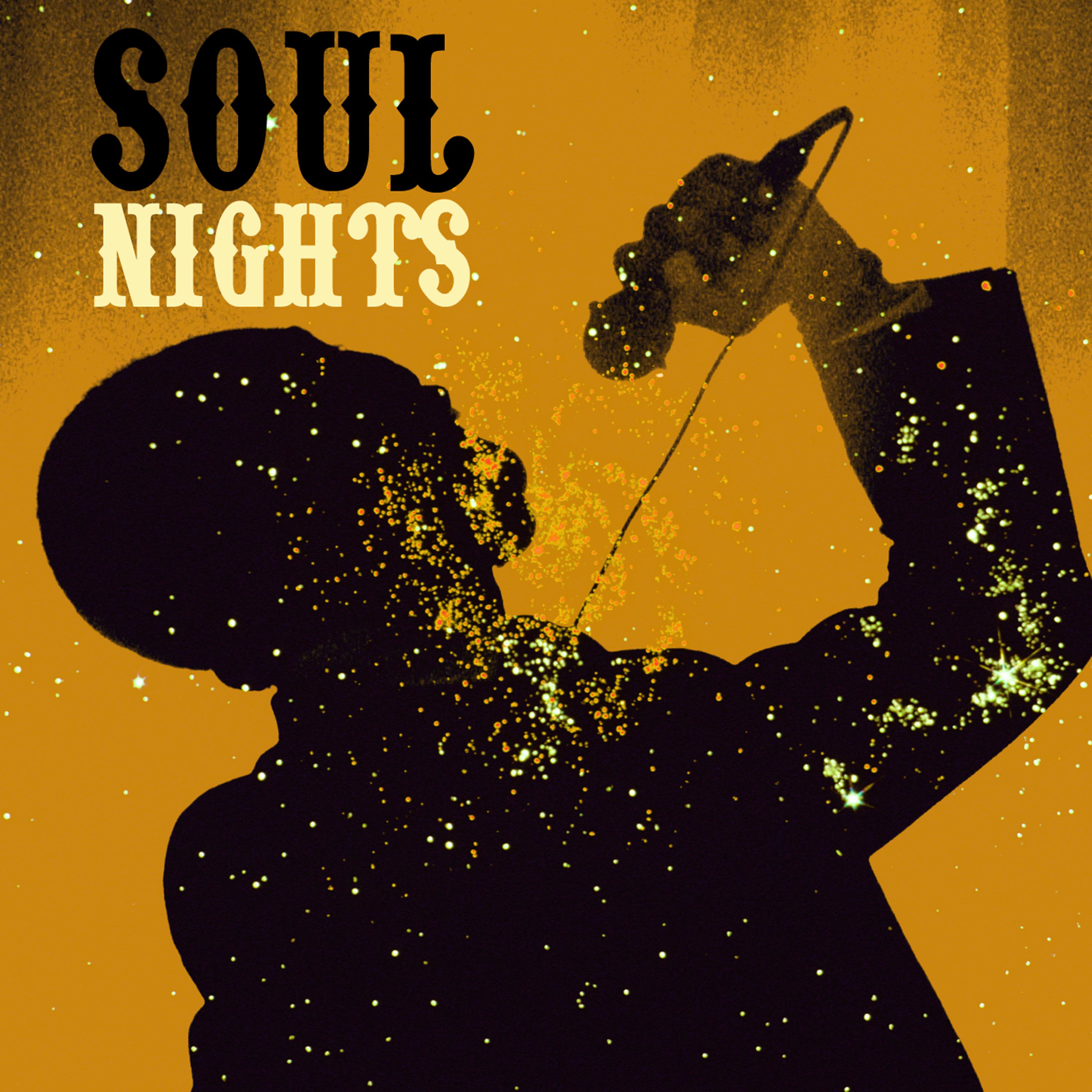 Постер альбома Soul Nights