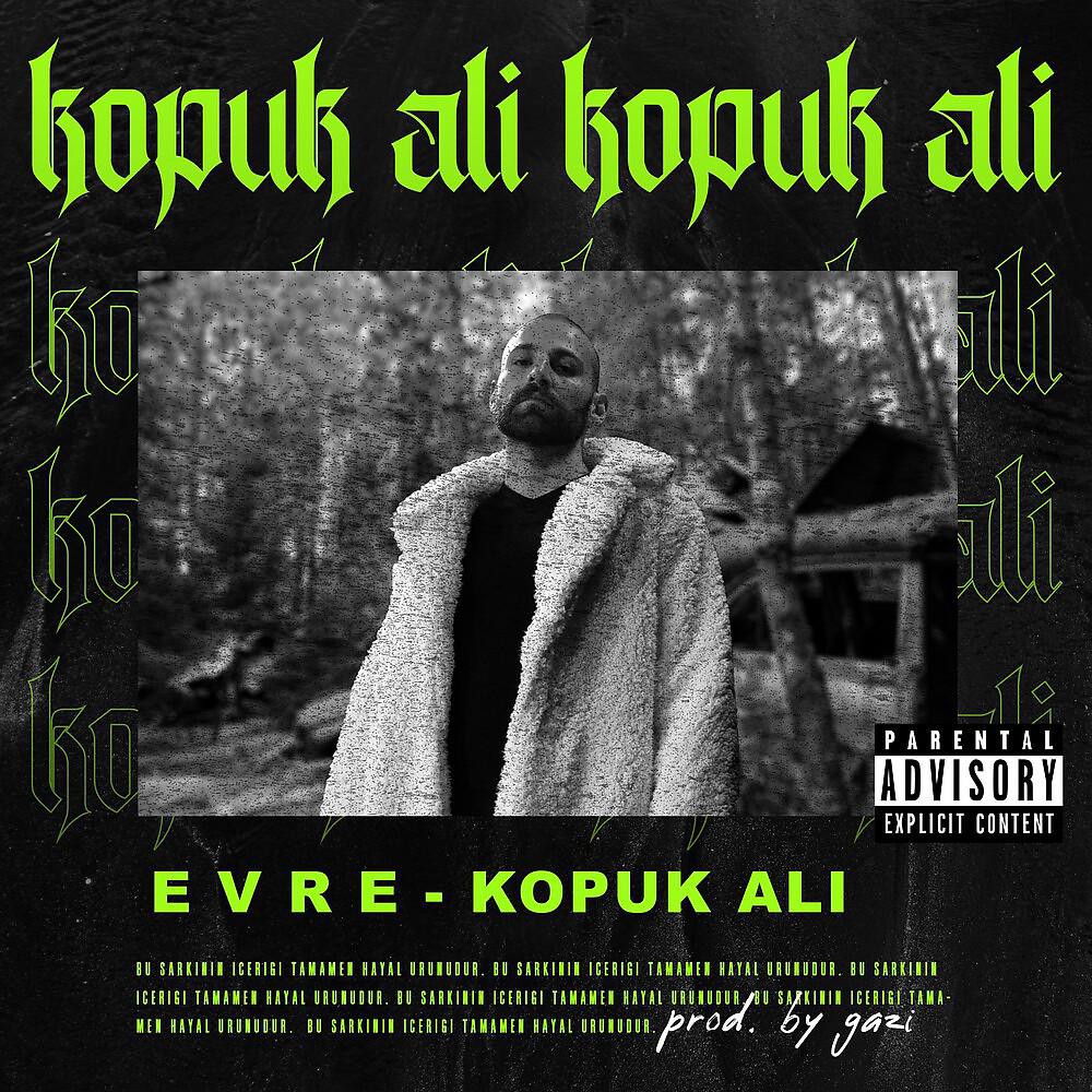Постер альбома Kopuk Ali