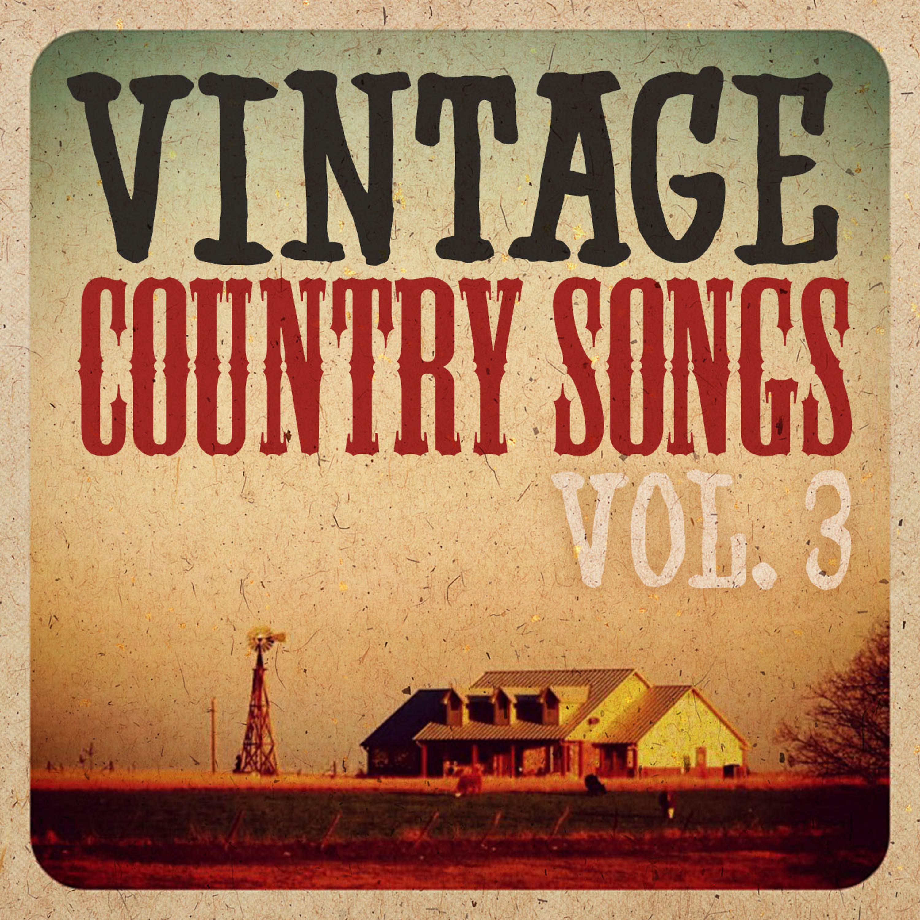 Постер альбома Vintage Country, Vol. 3