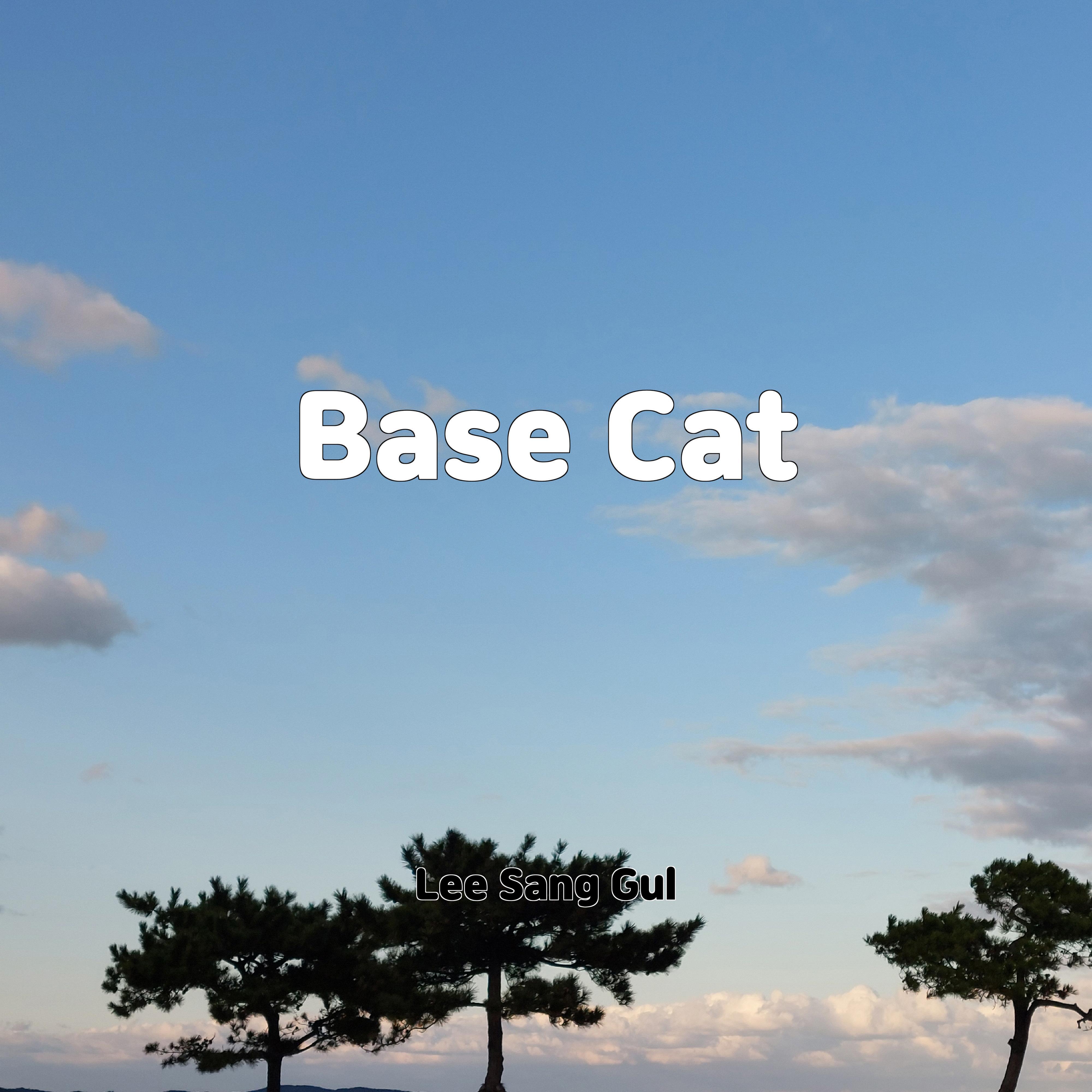 Постер альбома Base Cat
