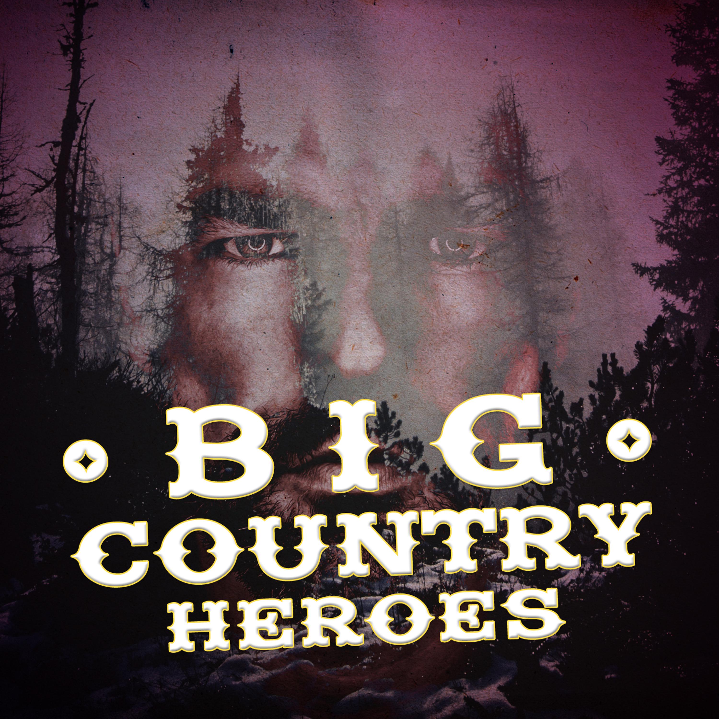 Постер альбома Big Country Heroes