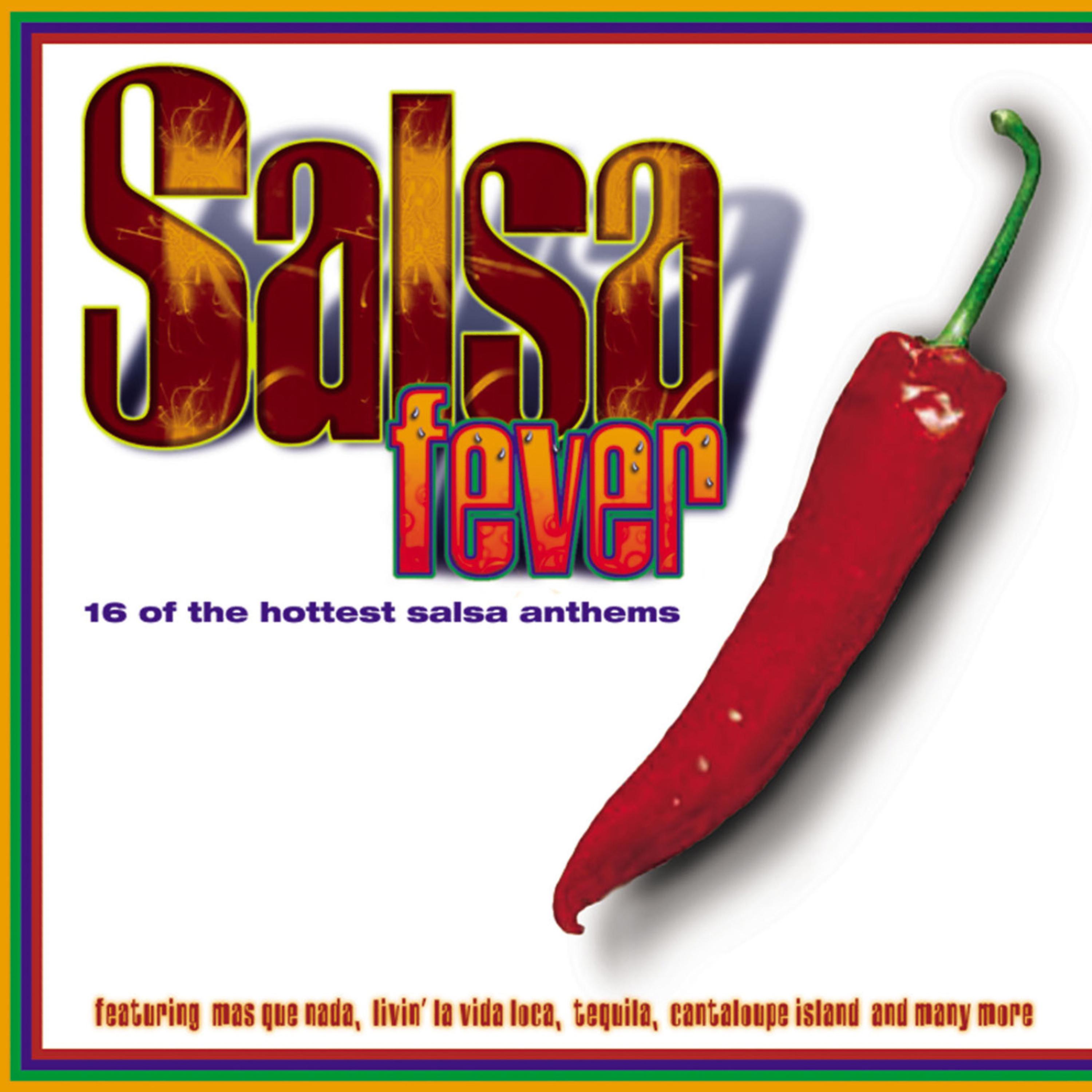 Постер альбома Salsa Fever