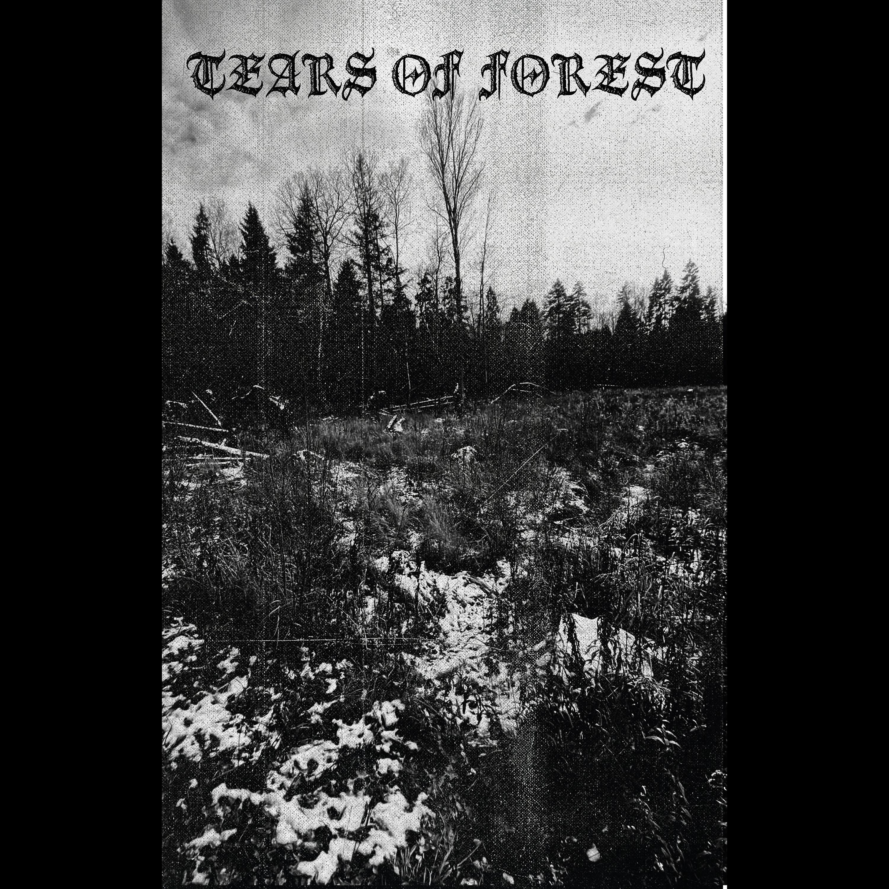 Постер альбома Tears of Forest