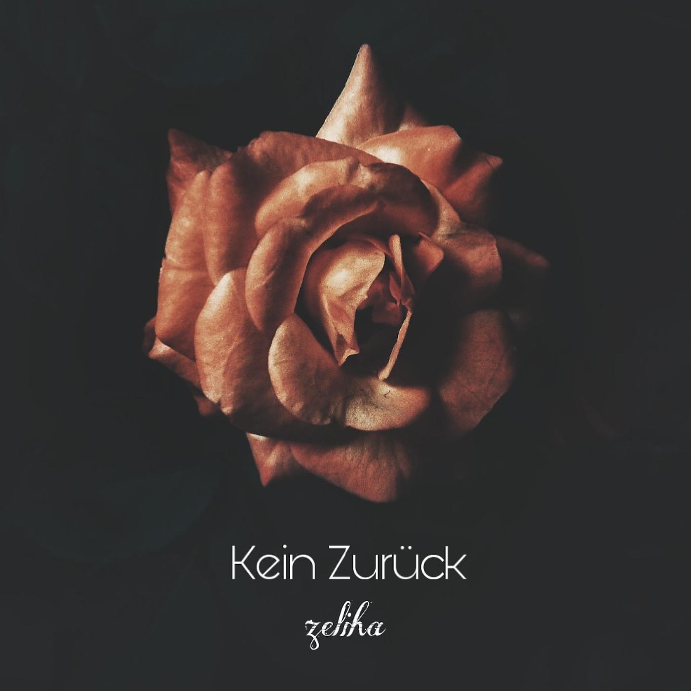 Постер альбома Kein Zurück