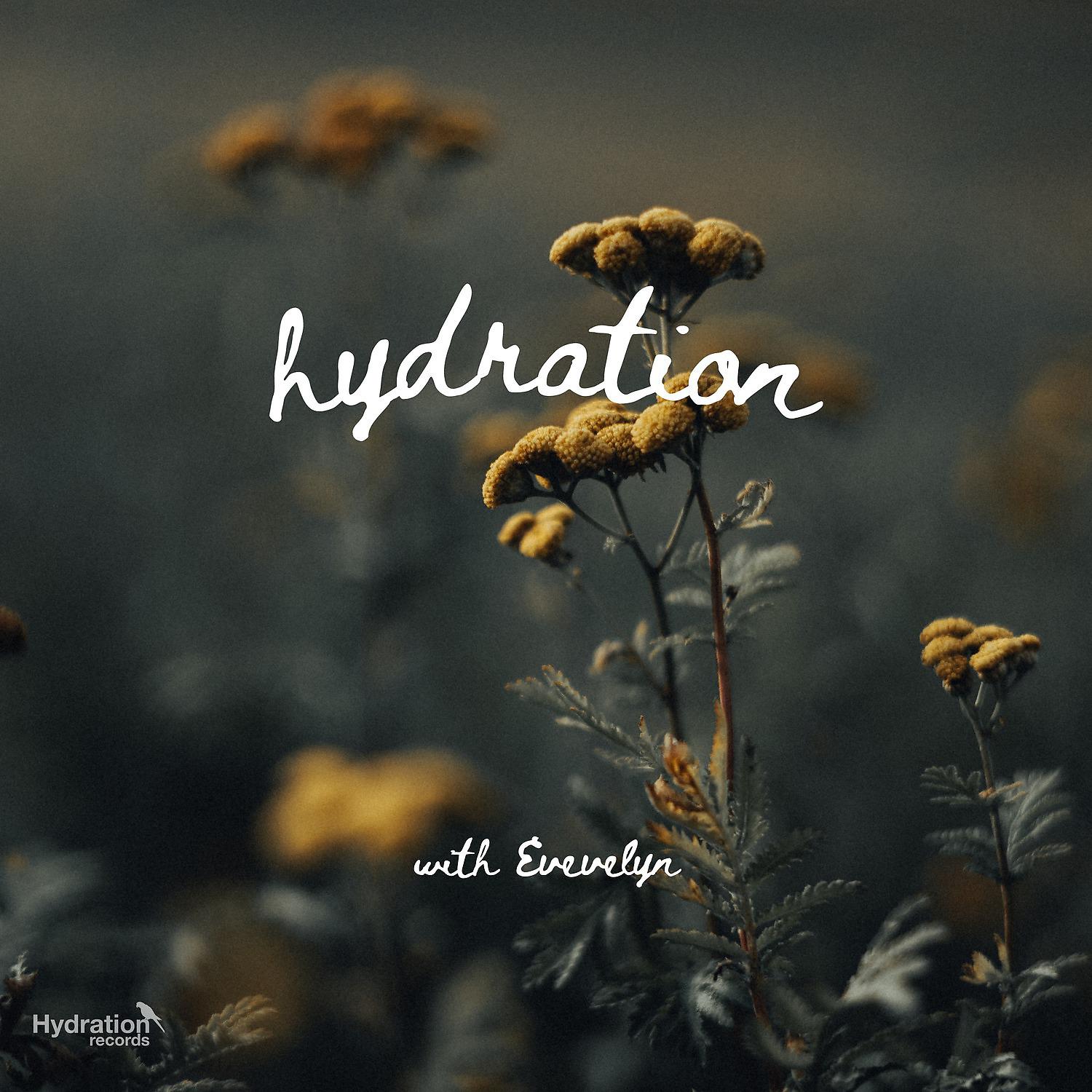 Постер альбома Hydration (Quiet Time)