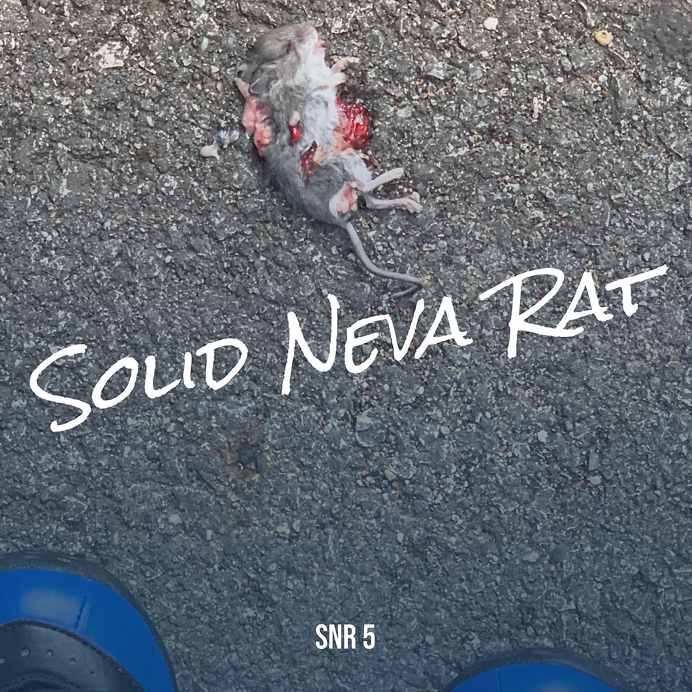 Постер альбома Solid Neva Rat