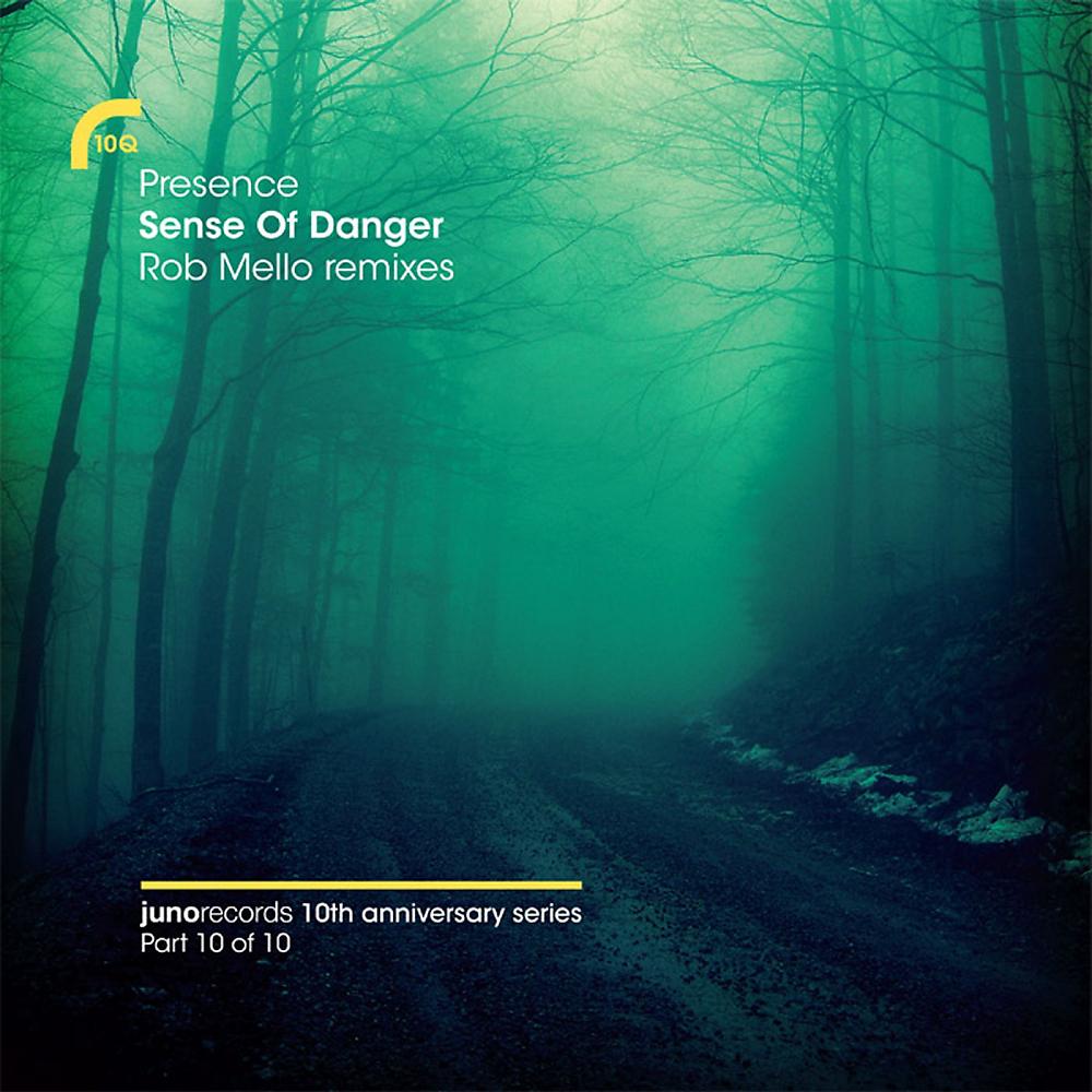 Постер альбома Sense Of Danger (Rob Mello Remixes)