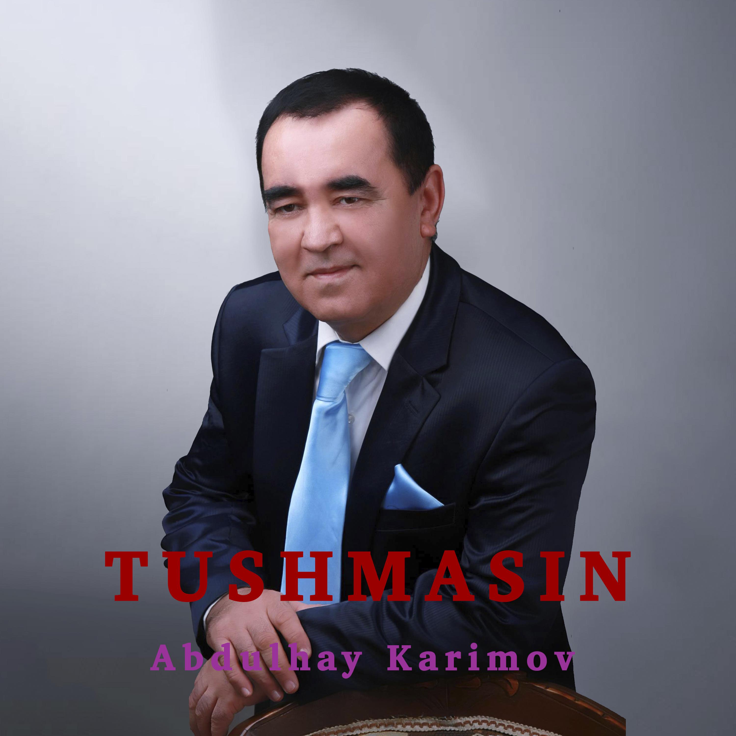 Постер альбома Tushmasin