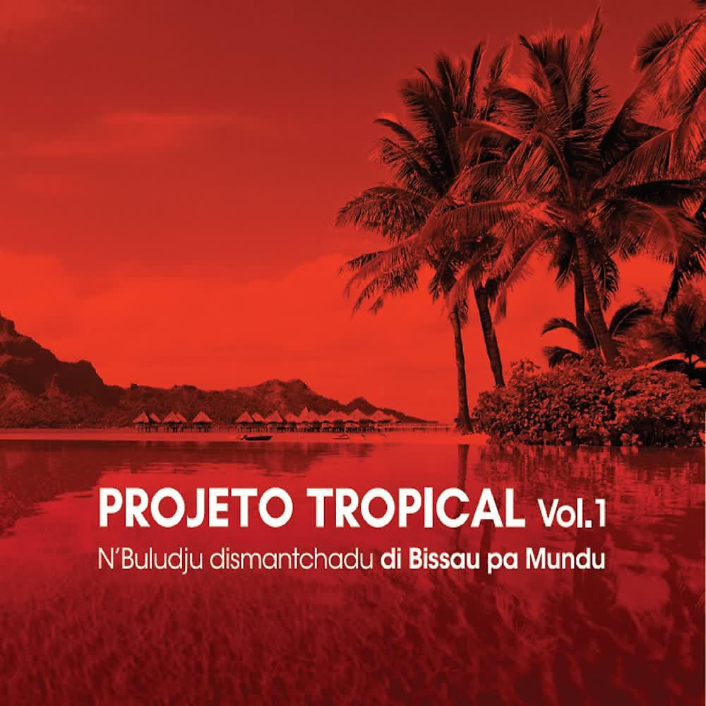 Постер альбома Projeto Tropical (Vol. 1)