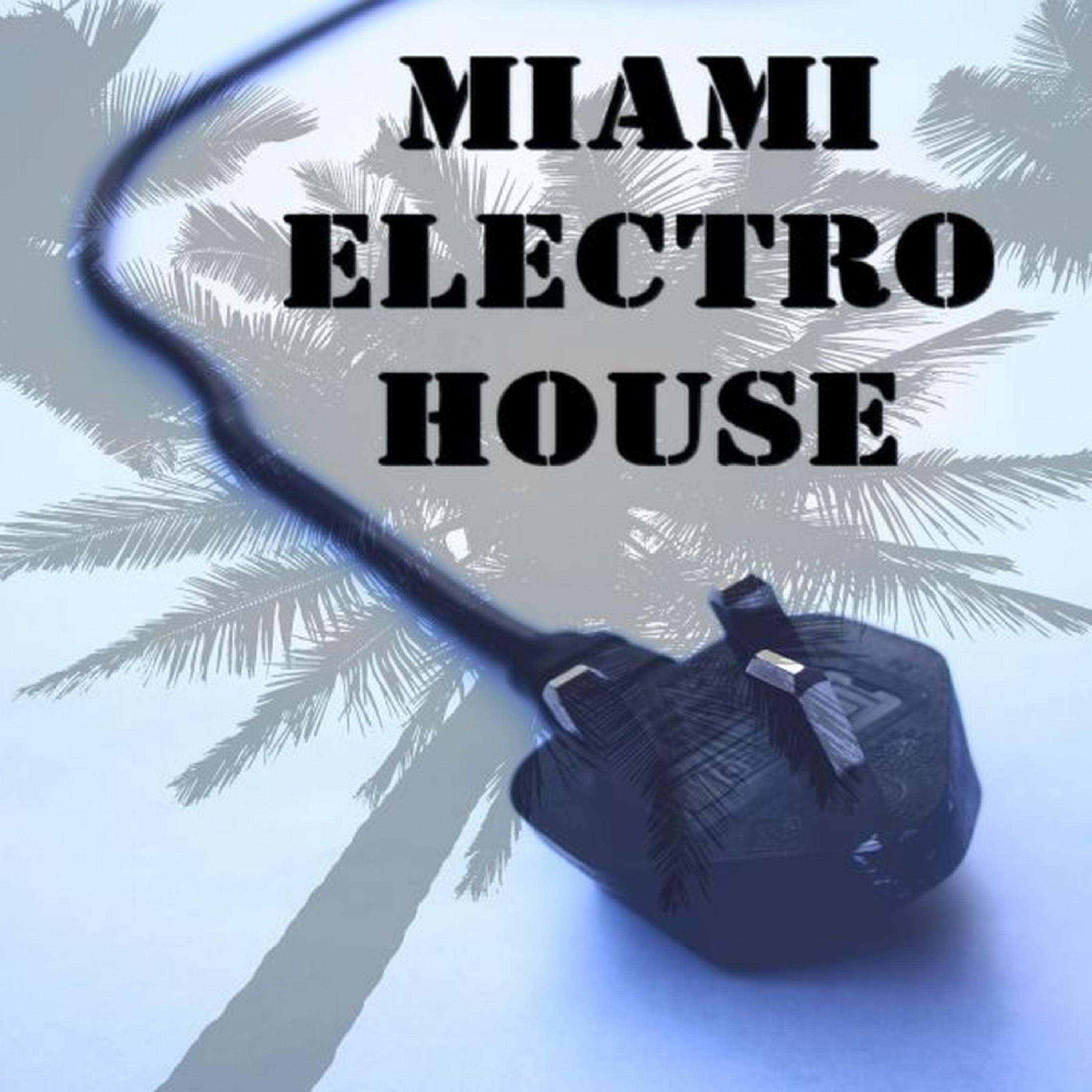 Постер альбома Miami Electro House