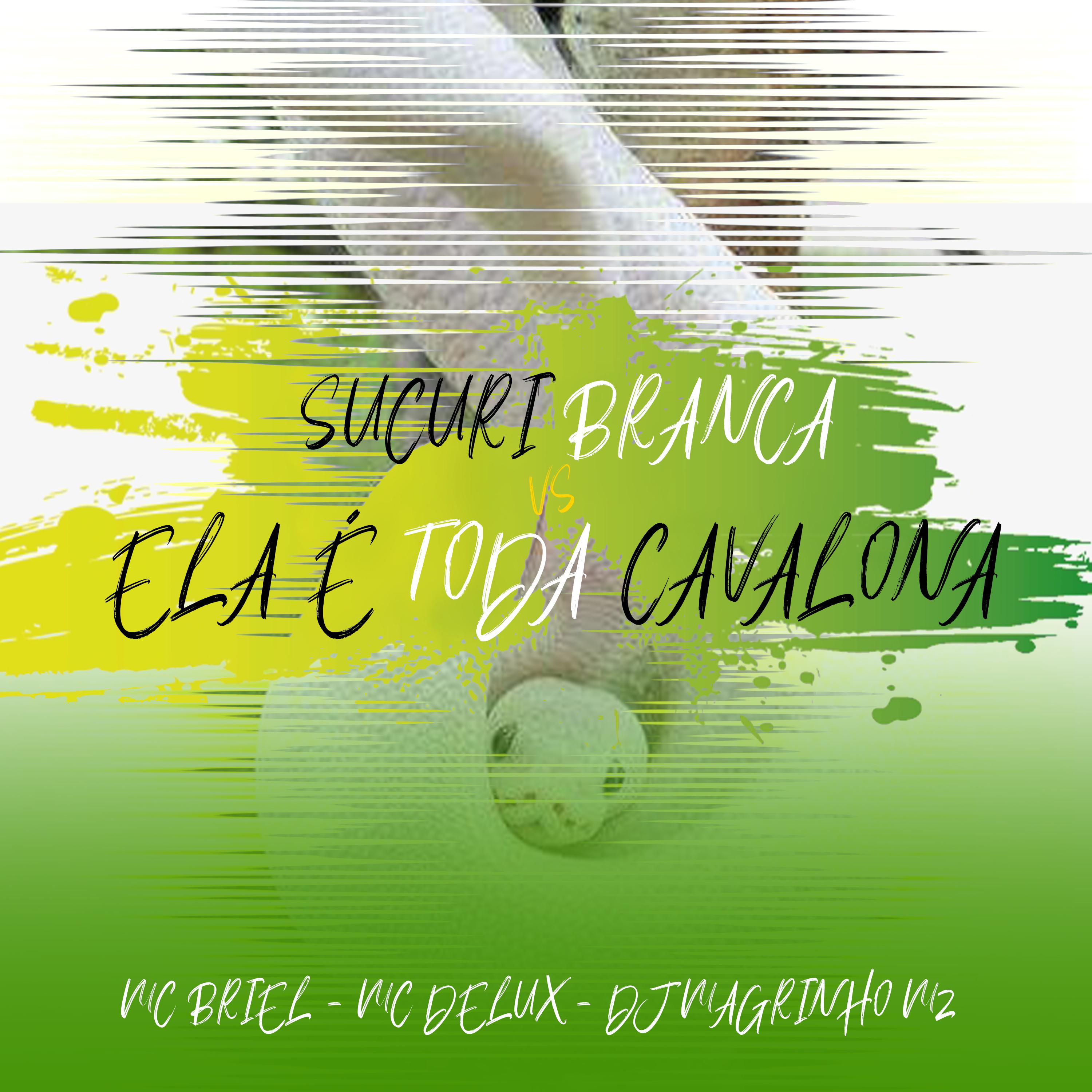 Постер альбома Sucuri Branca Vs Ela É Toda Cavalona