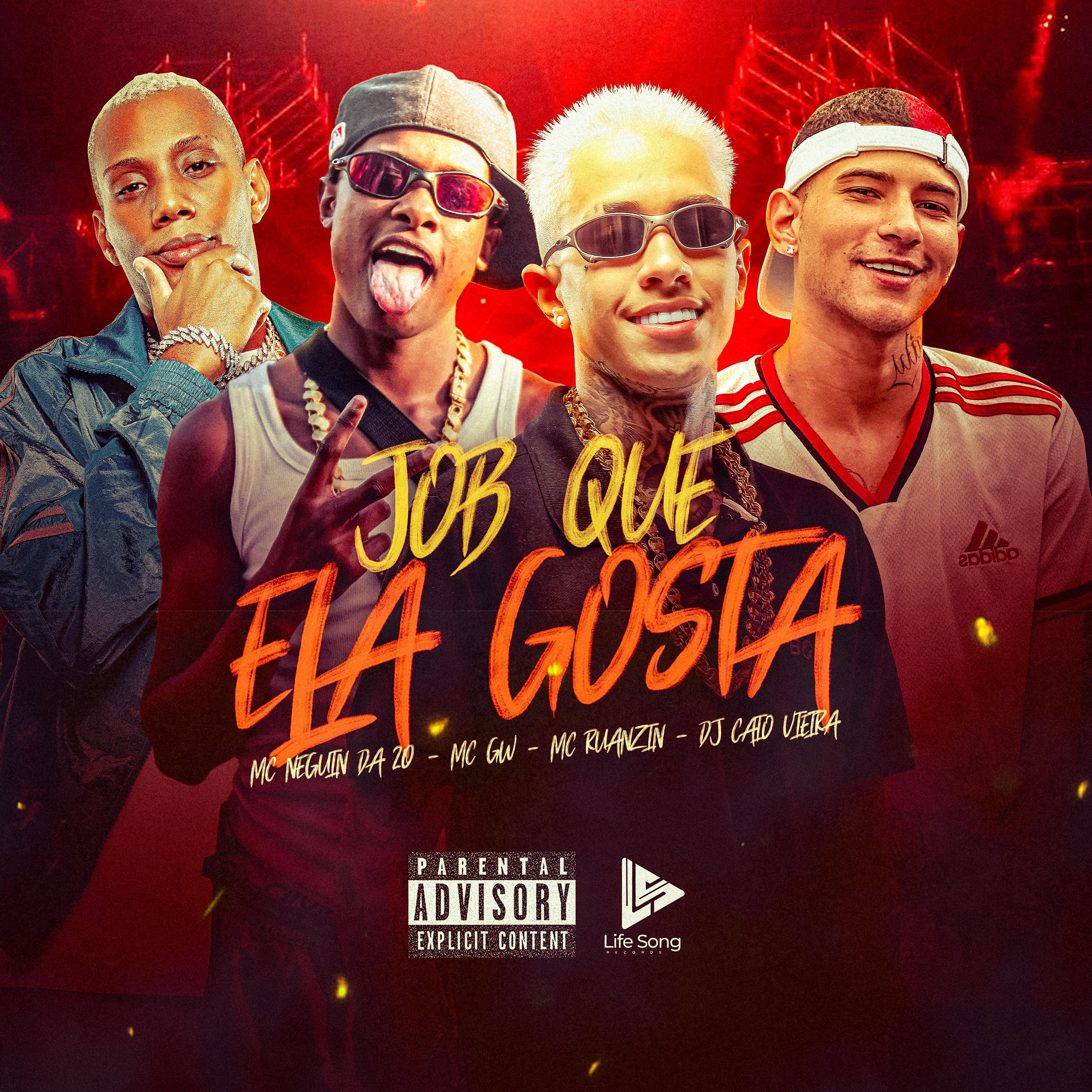 Постер альбома Job Que Ela Gosta