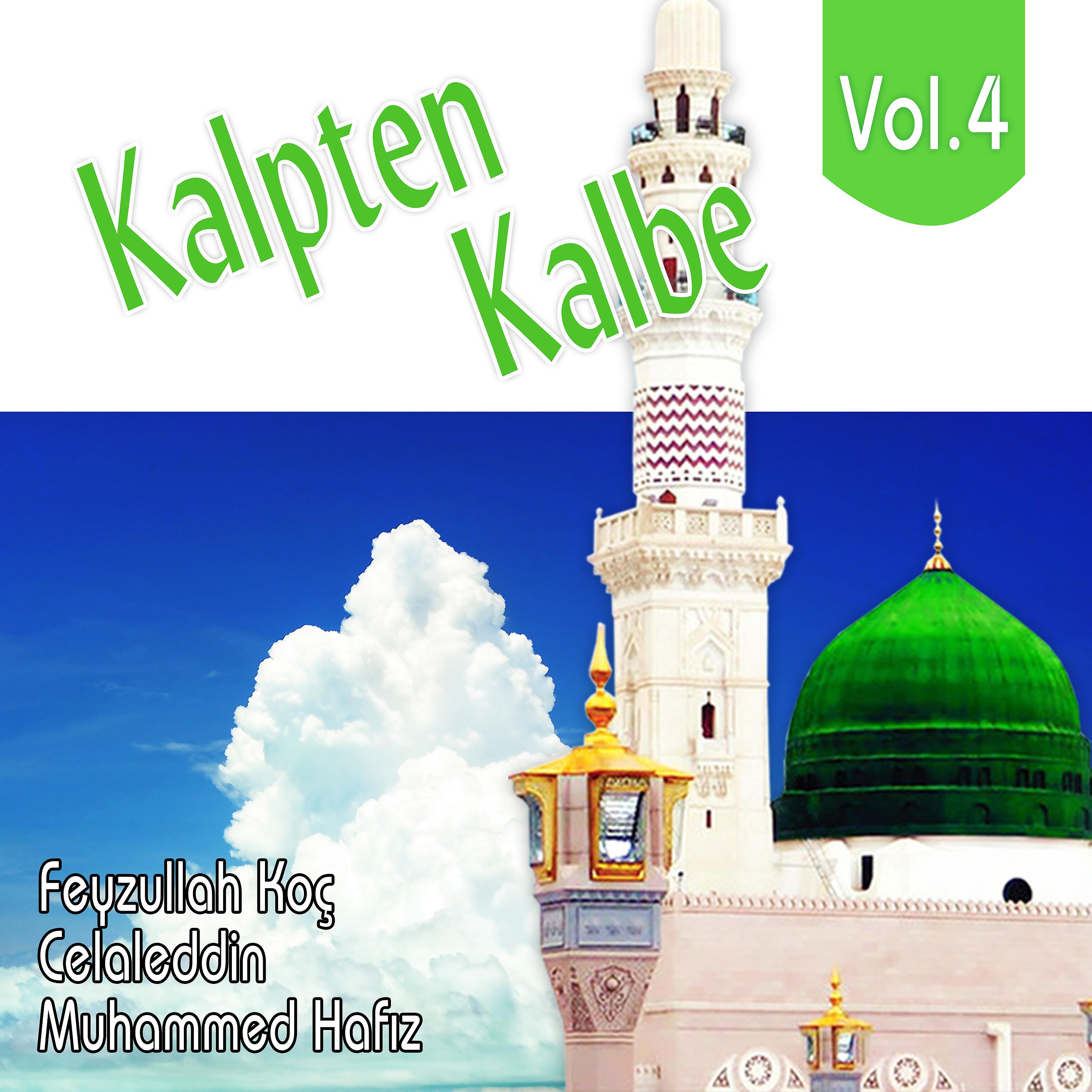 Постер альбома Kalpten Kalbe, Vol.4
