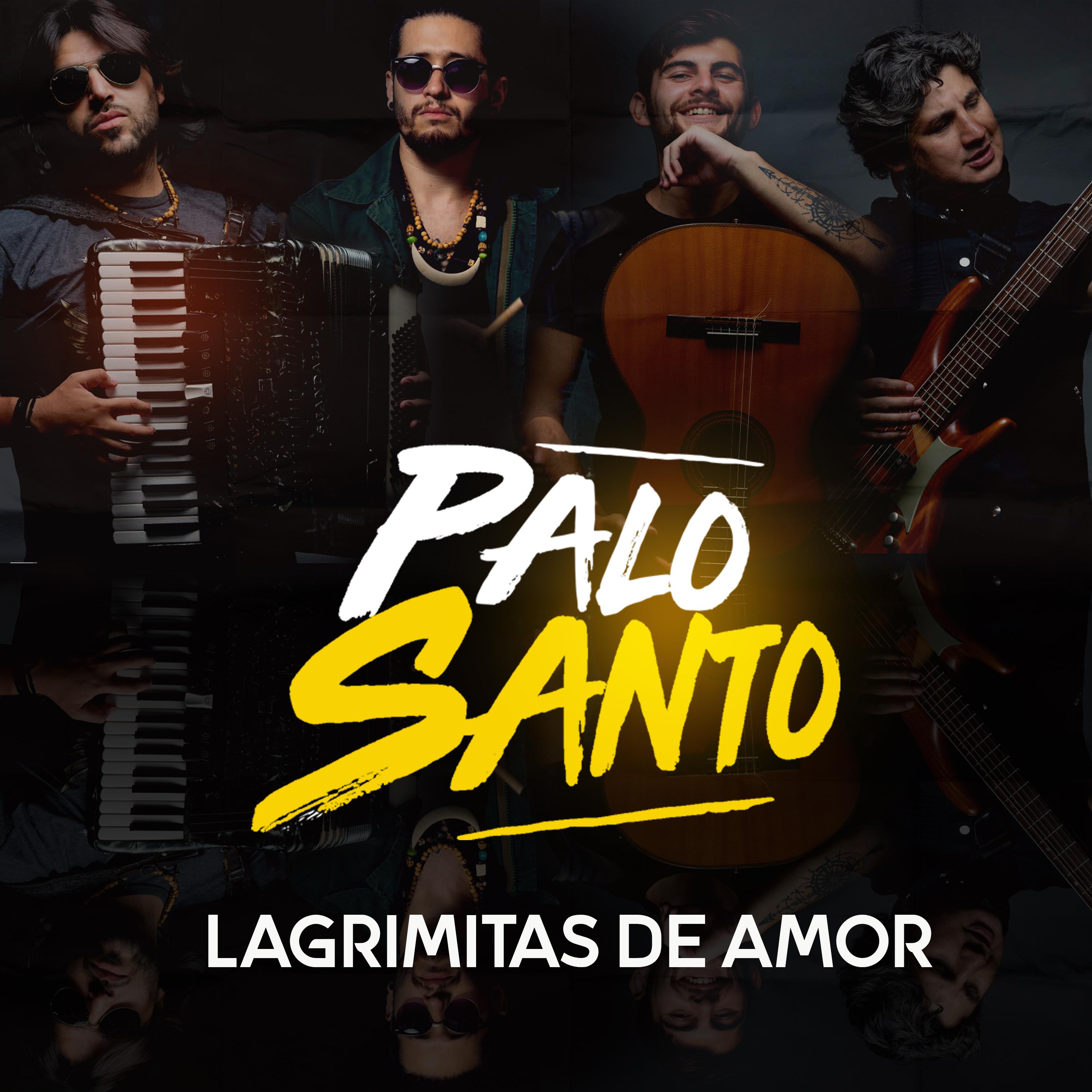 Постер альбома Lagrimitas de Amor