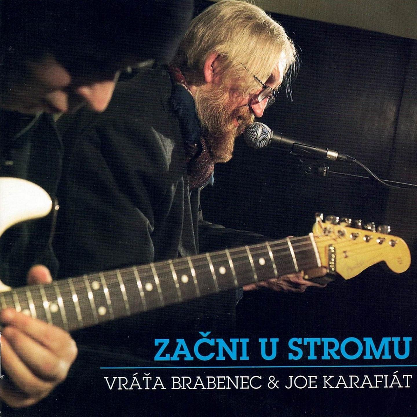Постер альбома Začni u stromu