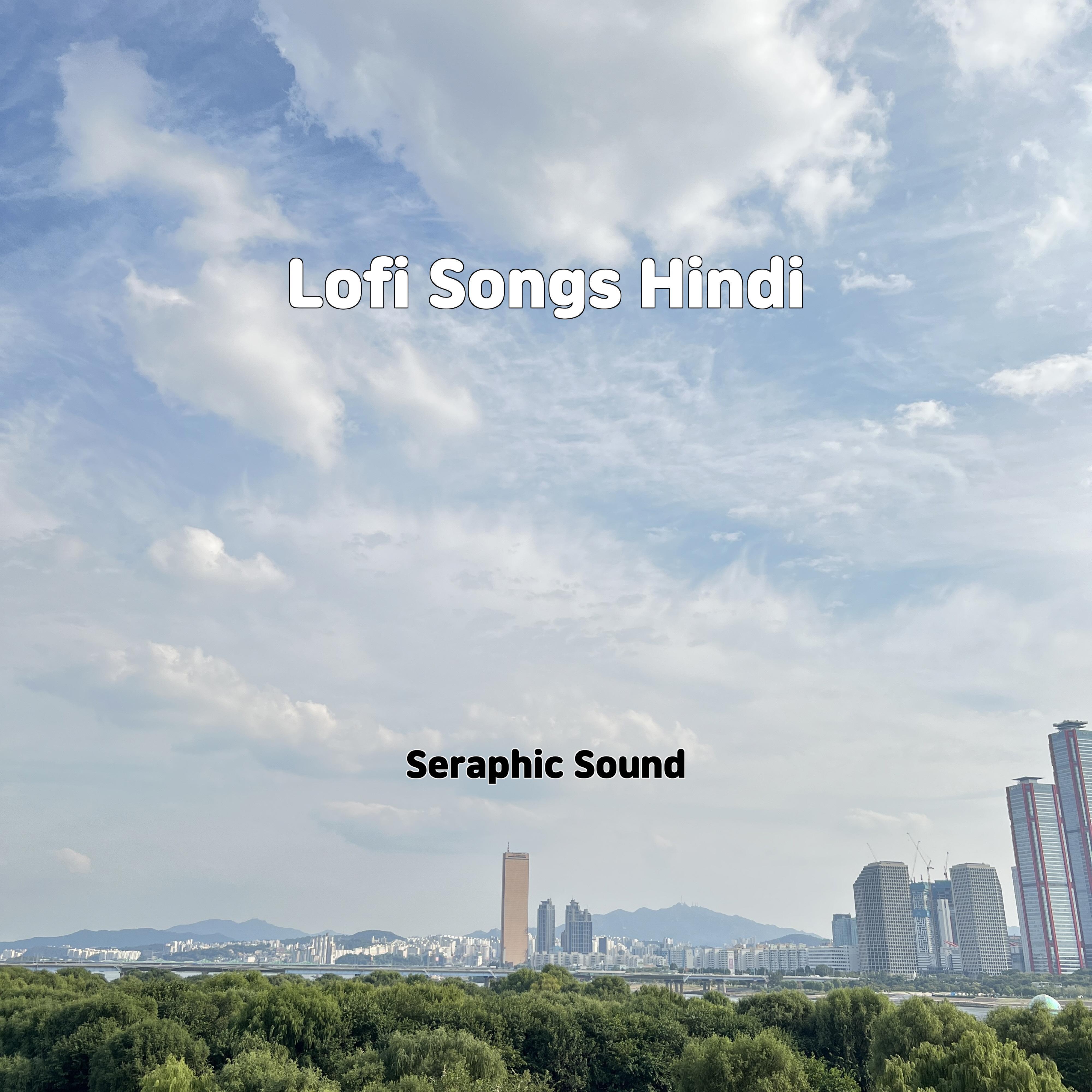Постер альбома Lofi Songs Hindi